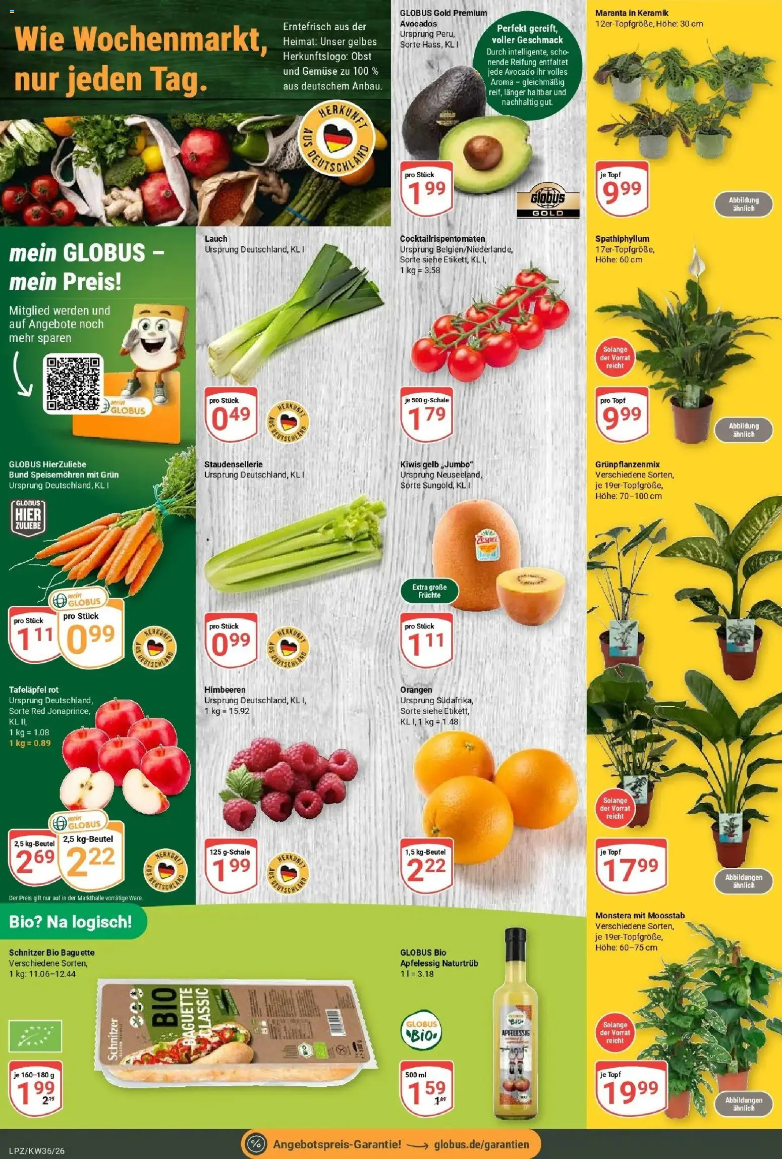 Globus Prospekt Leipzig – gültig ab 31.08.2026 | Seite: 8 | Produkte: Himbeeren, Orangen, Avocado, Gemüse