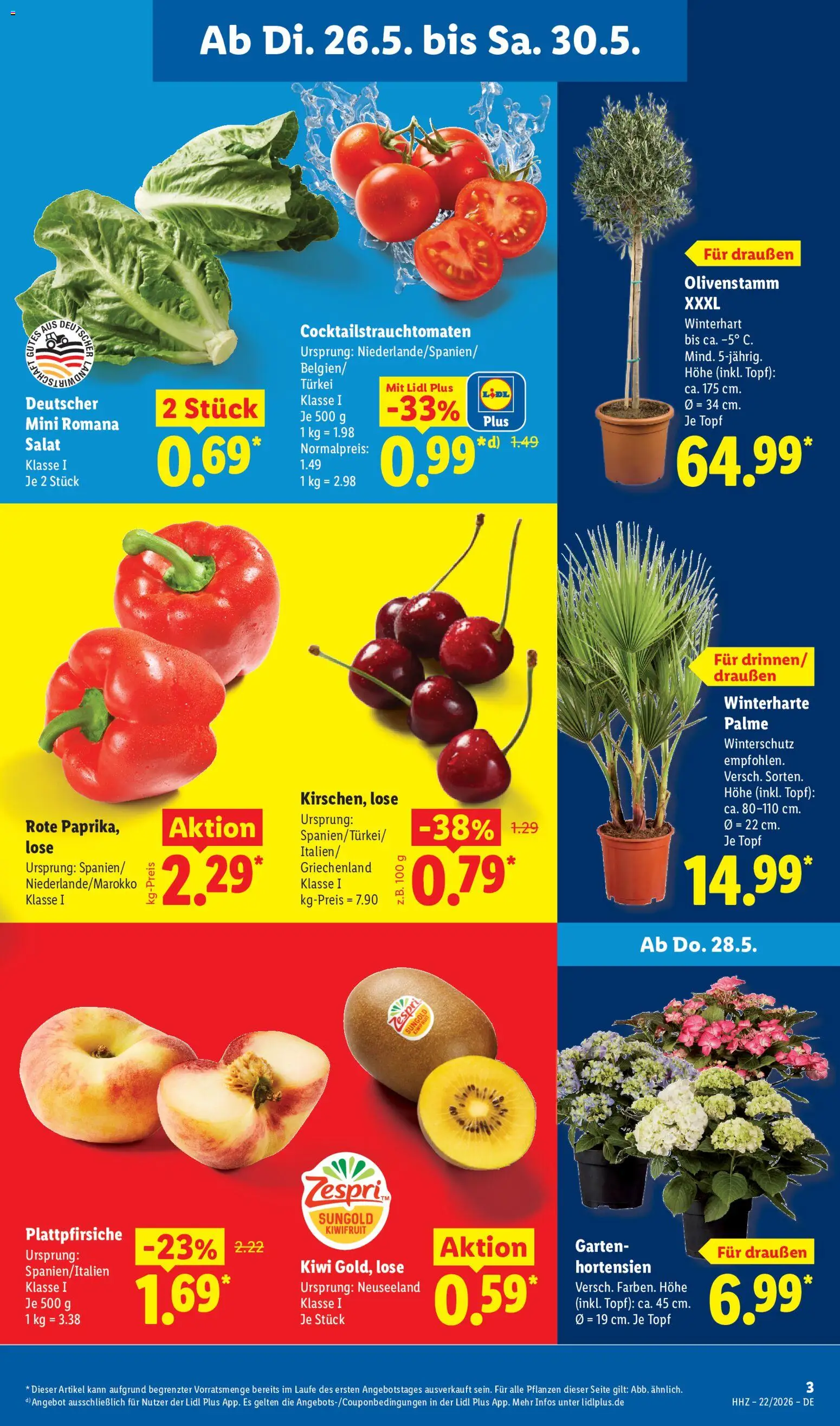 Lidl Prospekt – gültig ab 26.05.2026 | Seite: 5