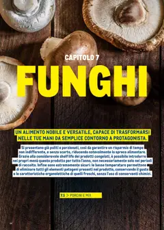 Anteprima del volantino FUNGHI, Un alimento nobile e versatile, capace di trasformarsi nelle tue mani da semplice contorno a protagonista. valido a partire dal 30.06.2025 | Pagina: 64 | Prodotti: Funghi