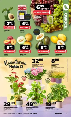 Pogląd oferty "Awokado, Awokado 1 szt." - ważna od 03.08.2026 | Strona: 7