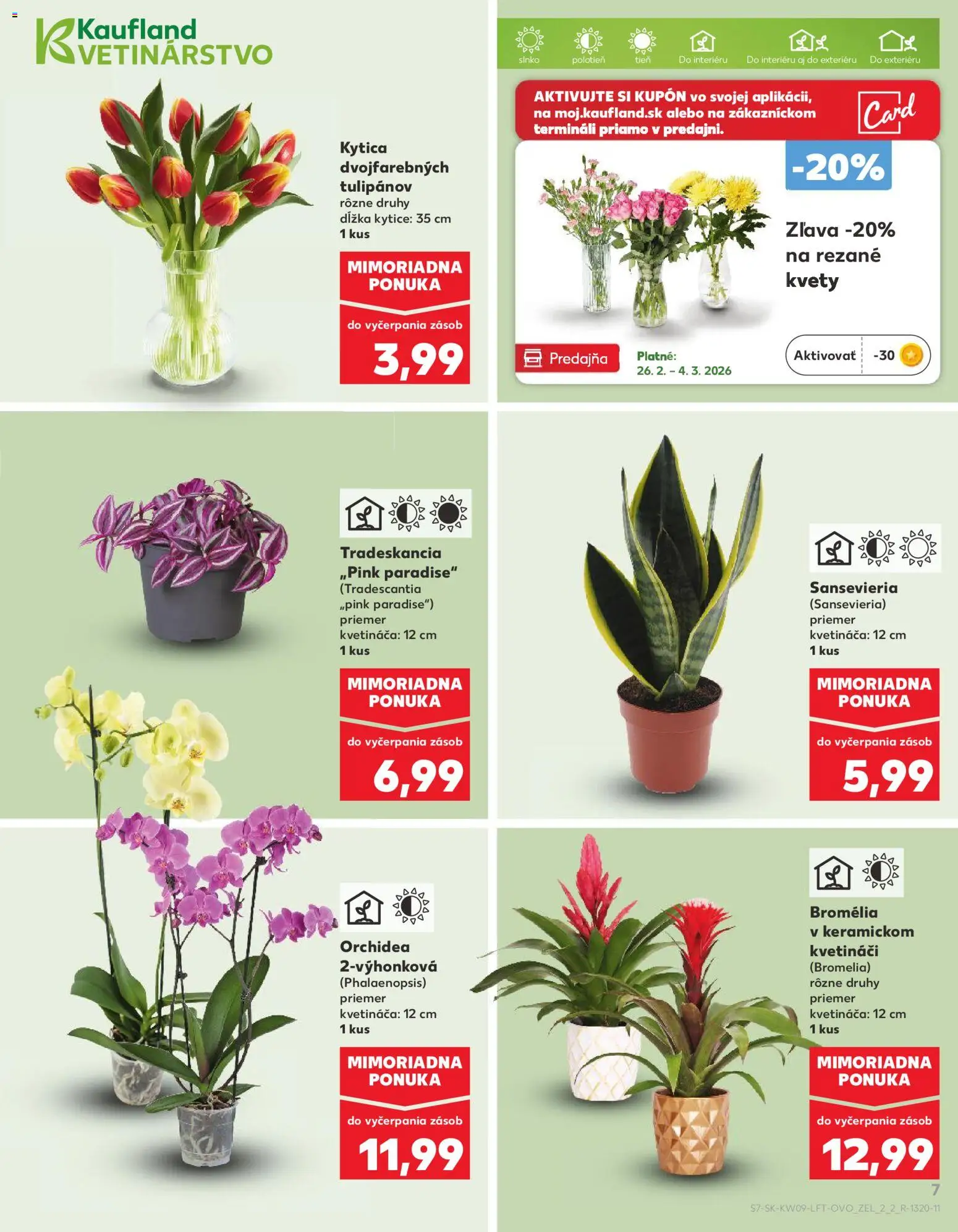 Nové Kaufland akcie – leták je platný od 26.02.2026 | Strana: 7 | Produkty: Kvety, Orchidea