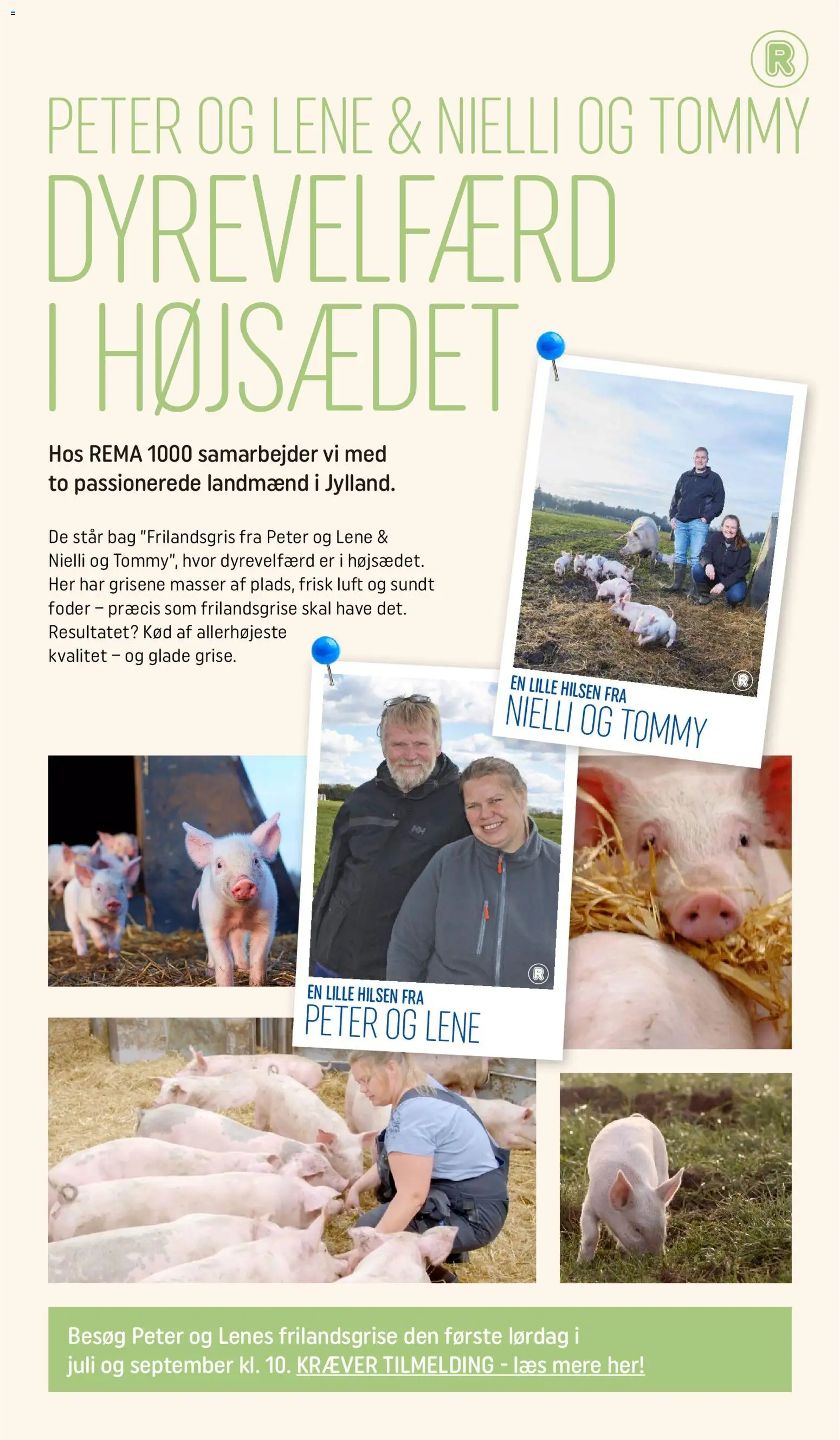 Rema 1000 tilbudsavis – gyldig fra 17.06.2026 | Side: 14 | Produkter: Søm