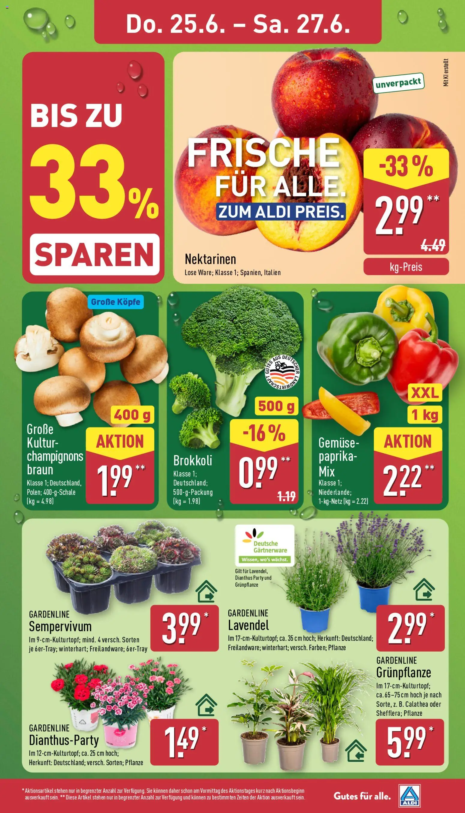 Aldi Prospekt – gültig ab 22.06.2026 | Seite: 29 | Produkte: Champignons, Gemüse, Brokkoli, Lavendel