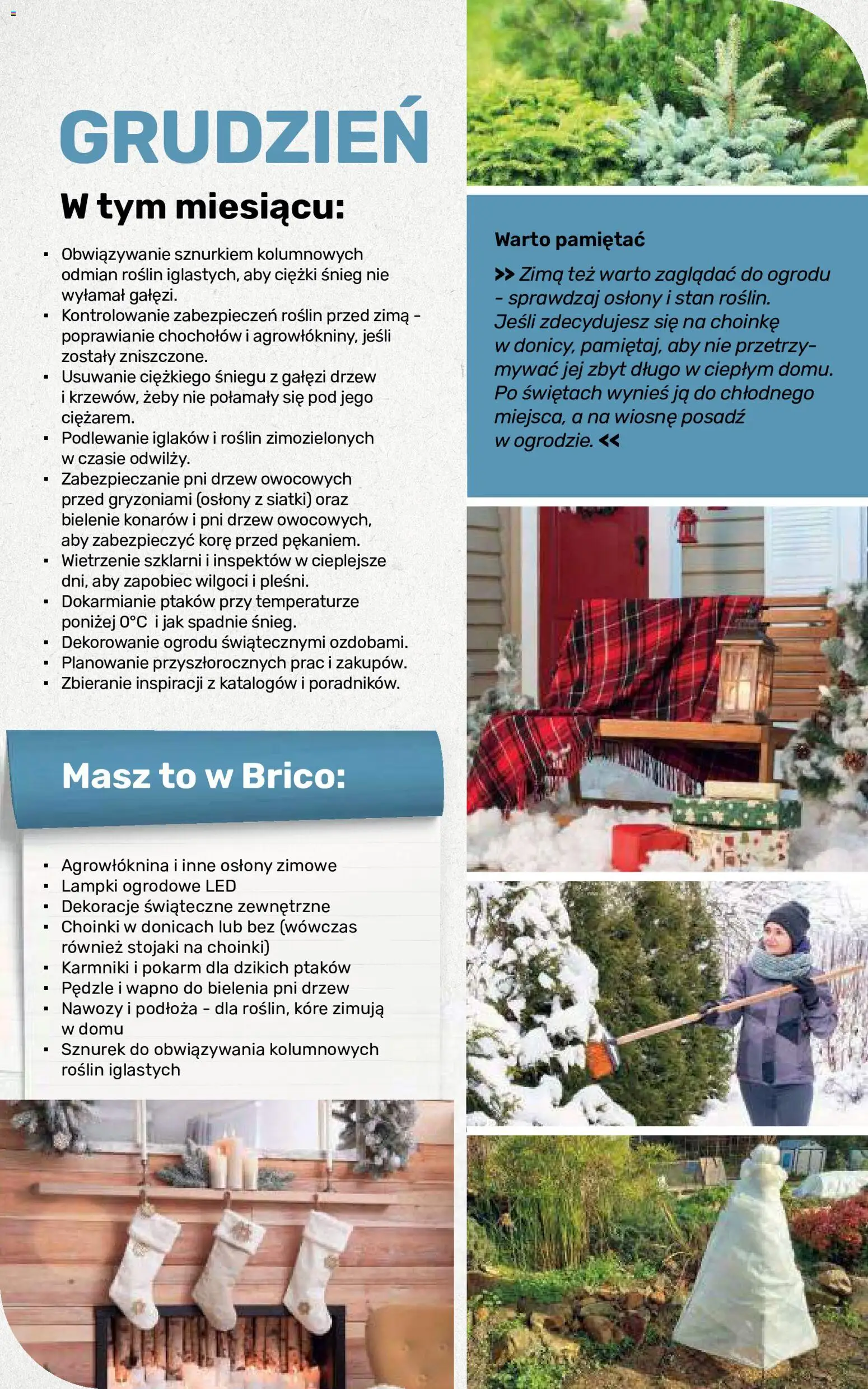Brico Marché gazetka - Jesienne Inspiracje od 17.08.2026 | Strona: 111 | Produkty: Lampki, Lampki ogrodowe, Dekoracje