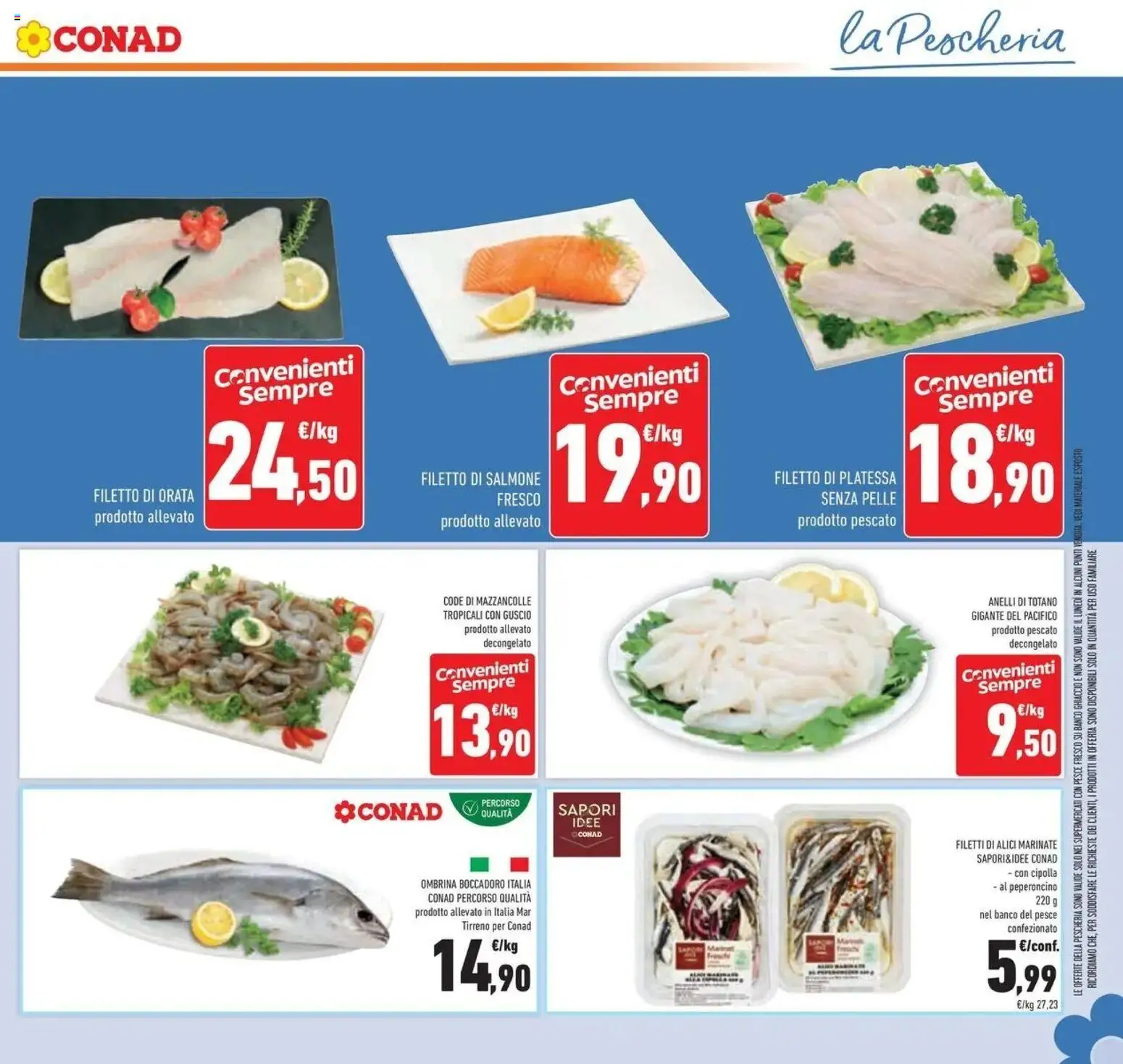 Anteprima volantino Conad dal 23/09/2026 prossima settimana | Pagina: 21 | Prodotti: Mazzancolle, Cipolla, Totano, Alici