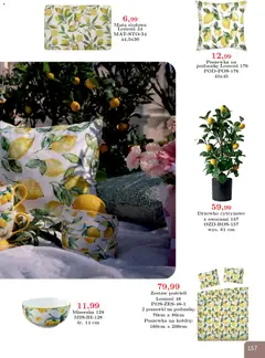 Pogląd oferty "Bodzio Katalog" - ważna od 01.04.2026 | Strona: 157 | Produkty: Drzewko cytrynowe