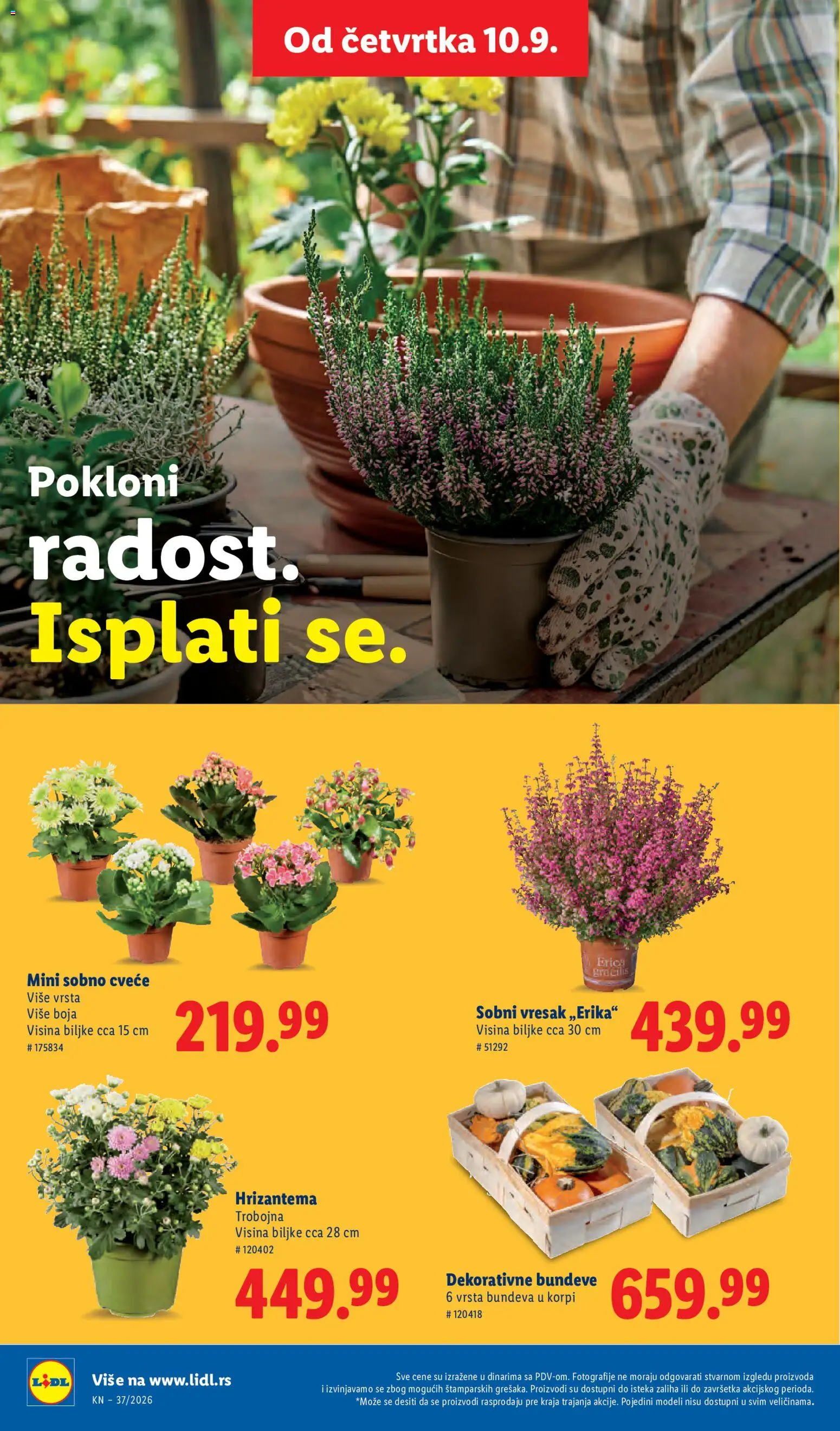 Lidl katalog - važi od 10.09.2026 | Strana: 60