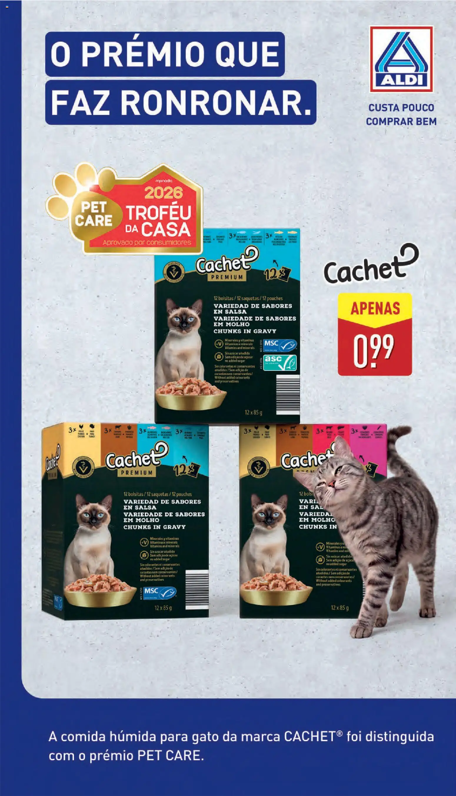 Aldi folheto │ válido de 01.06.2026 | Página: 31 | Produtos: Sal, Açúcar