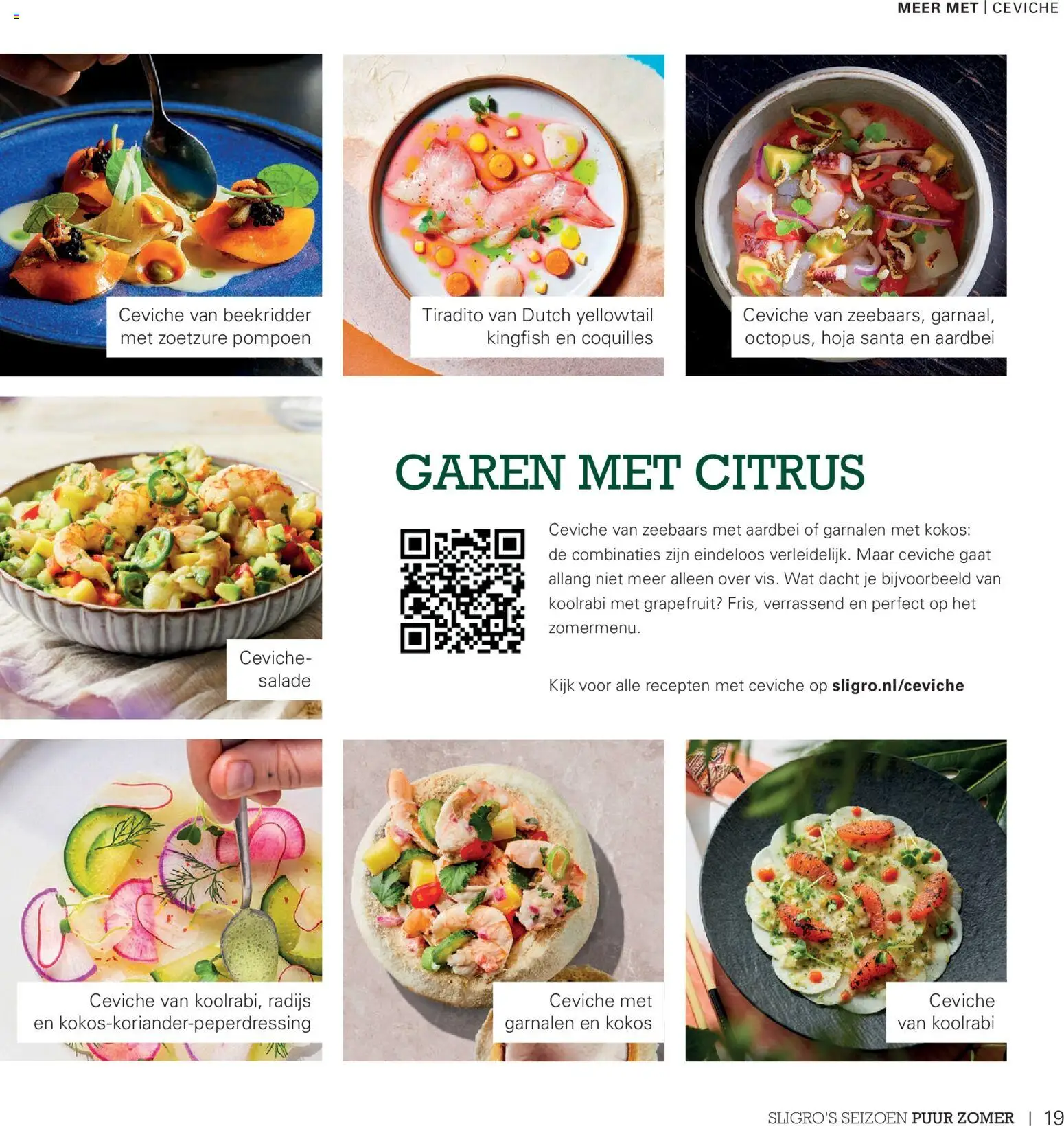 {H1} | Pagina: 19 | Producten: Grapefruit, Pompoen, Koolrabi, Aardbei