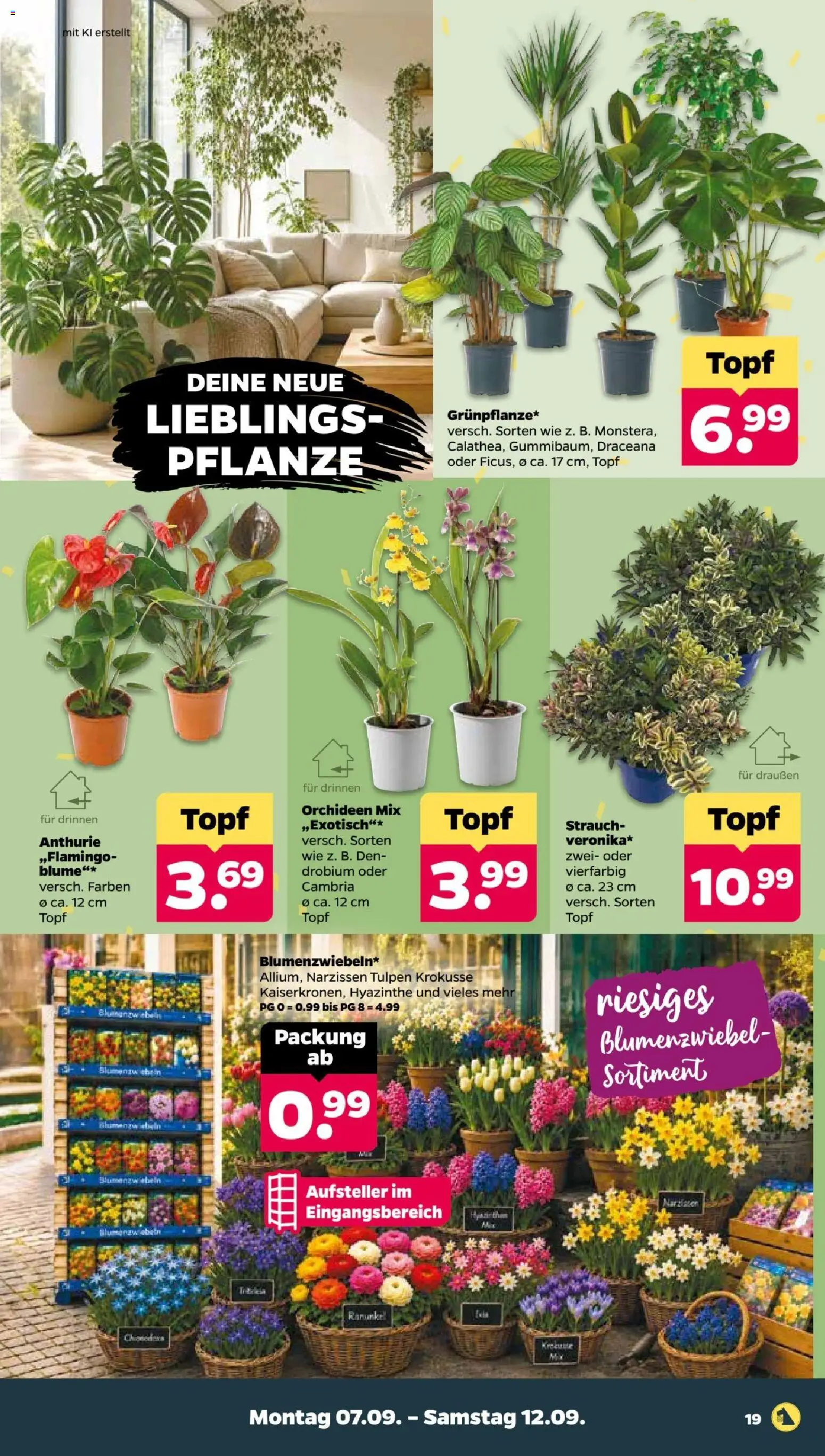 Netto Prospekt – gültig ab 07.09.2026 | Seite: 21