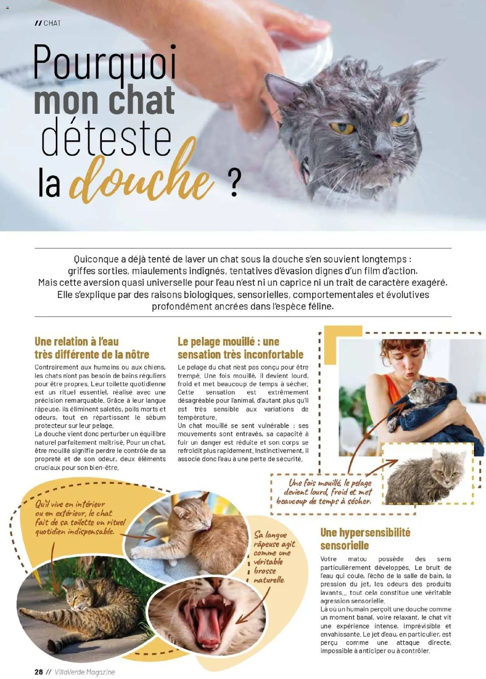{H1} | Page: 28 | Produits: Tente, Mais, Brosse, Douche