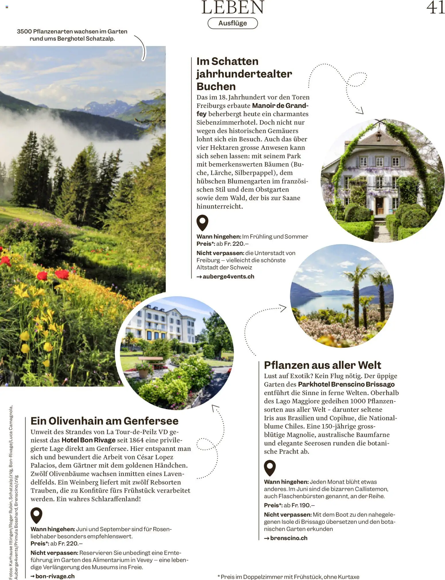 Migros aktionen Magazin – gültig ab 10.06.2026 | Seite: 41 | Produkte: Reis, Sehen