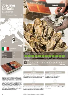 Anteprima del volantino Spéciales SanDalia SELEZIONE TOP, Oysters Crassostrea Gigas from Italy. valido a partire dal 17.06.2025 | Pagina: 20