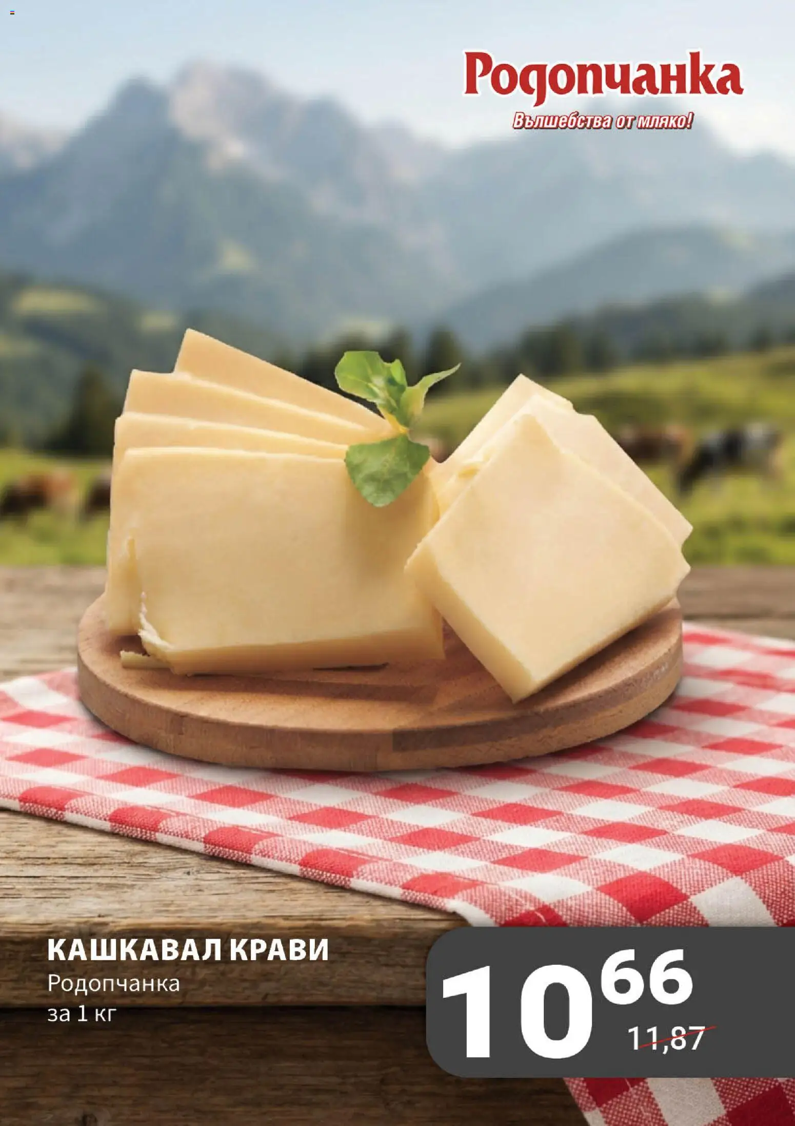 {H1} | Страница: 6 | Продукти: Мляко, Кашкавал