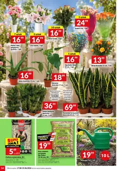 Pogląd oferty "Twój Market gazetka" - ważna od 17.06.2026 | Strona: 34 | Produkty: Karta, Aloes, Doniczka, Sól