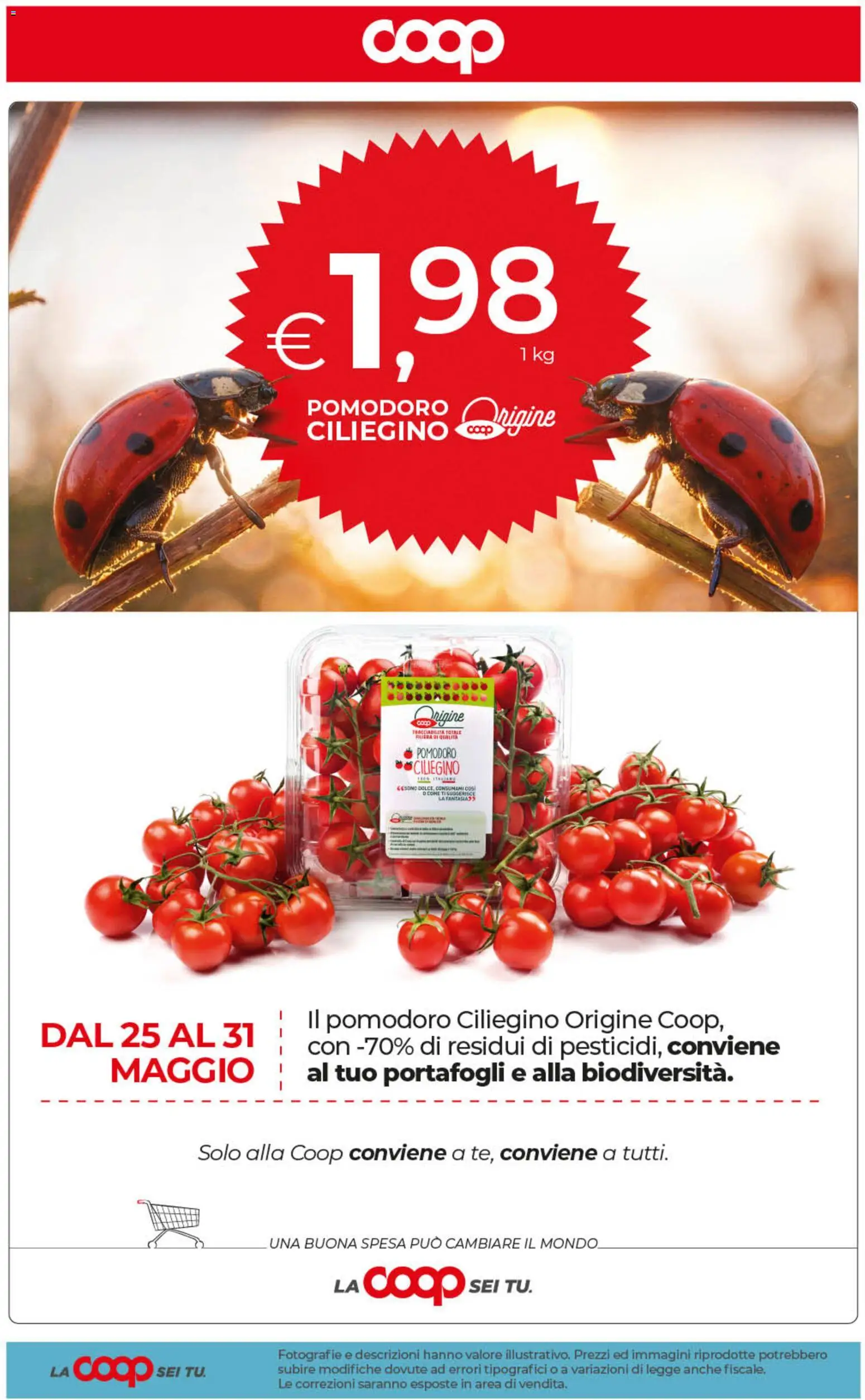 Volantino COOP del 29.05.2026 | Pagina: 46 | Prodotti: Pomodoro