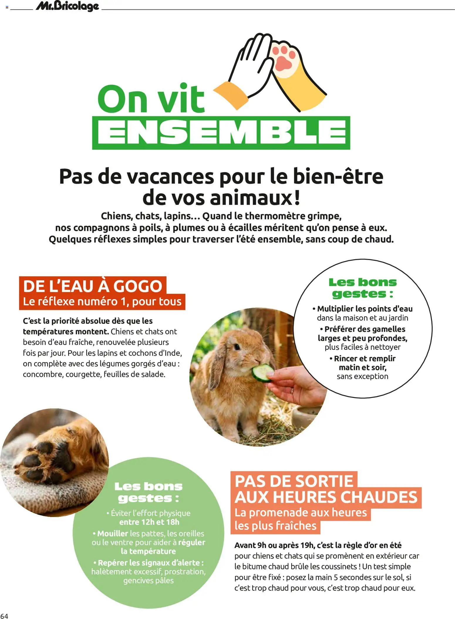 {H1} | Page: 64 | Produits: Règle, Thermomètre