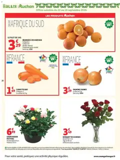 Auchan - Prévisualisation de ORANGES À JUS AUCHAN, LE FILET DE 2 KG valide à partir de 22/09/2026 | Page: 20 | Produits: Carottes, Plantes, Carottes bio, Oignons