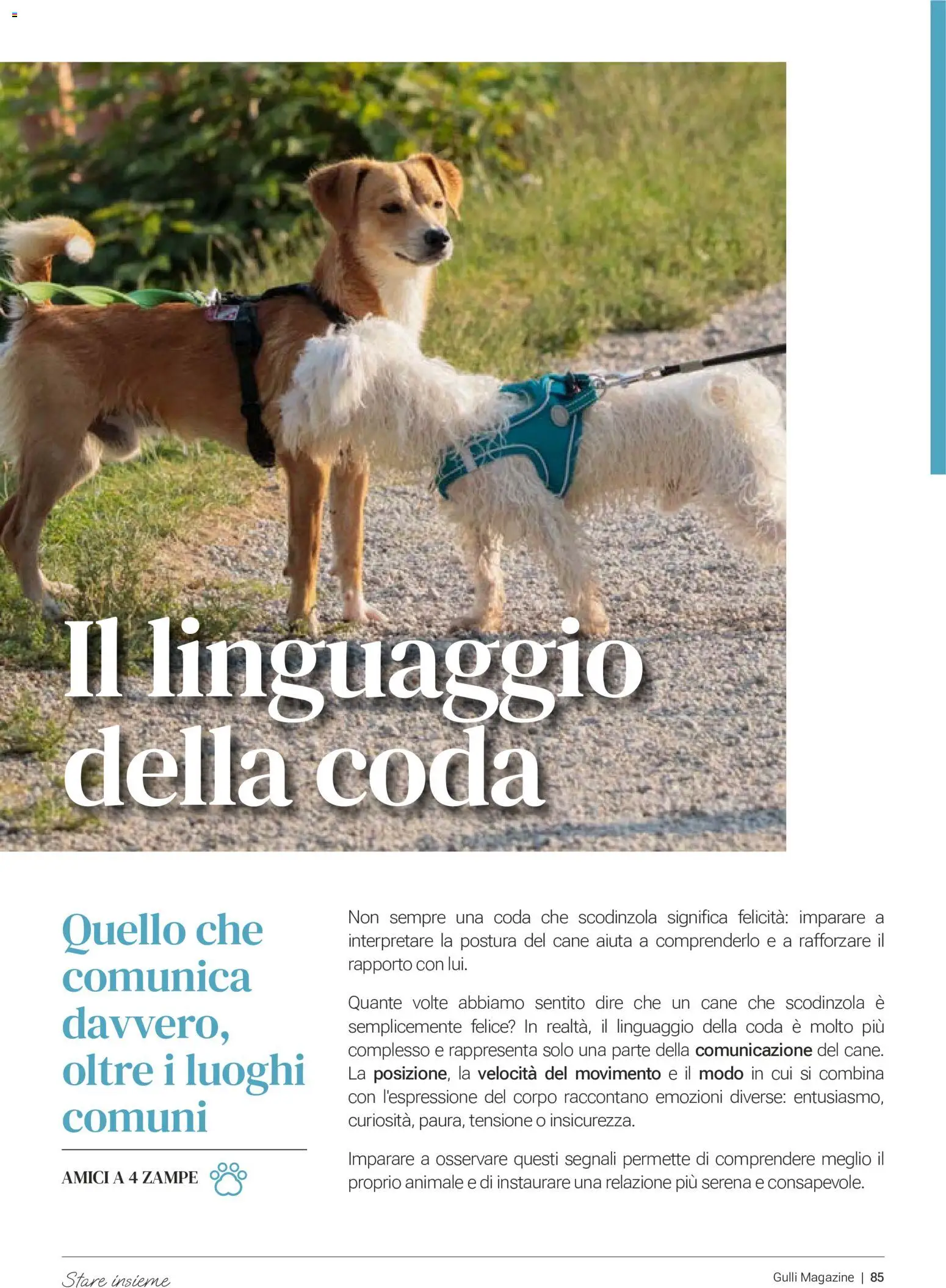 Volantino Gulliver del 01/08/2026 | Pagina: 84