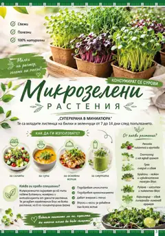 Преглед на BulMag брошура - Офертите са валидни от 29.06.2026 | Страница: 3 | Продукти: Билки, Броколи, Грах, Аромат