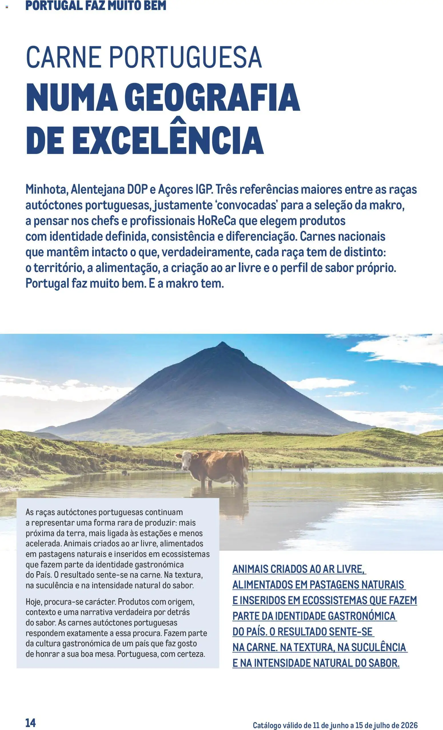 Makro Especial Carnes │ válido de 11.06.2026 | Página: 14 | Produtos: Carne