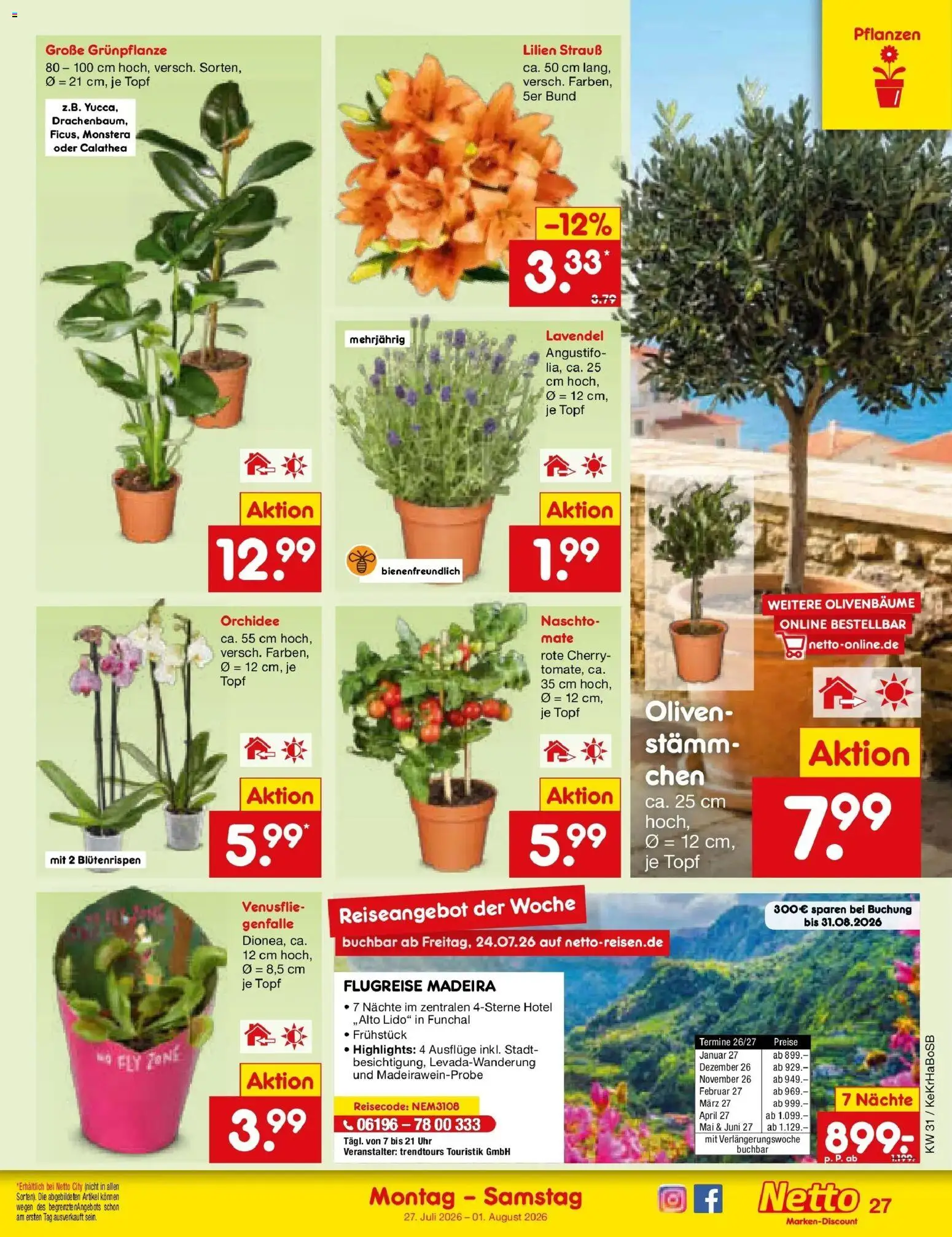 Netto Marken-Discount Prospekt Koblenz – gültig ab 27.07.2026 | Seite: 42 | Produkte: Orchidee, Lavendel, Uhr