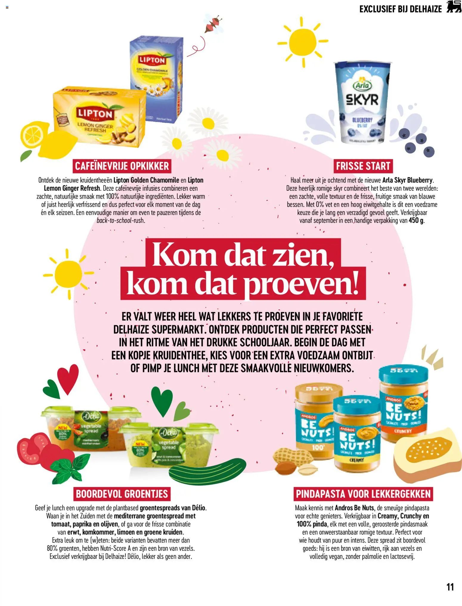 {H1} | Pagina: 11 | Producten: Paprika, Kruidenthee, Skyr, Kom