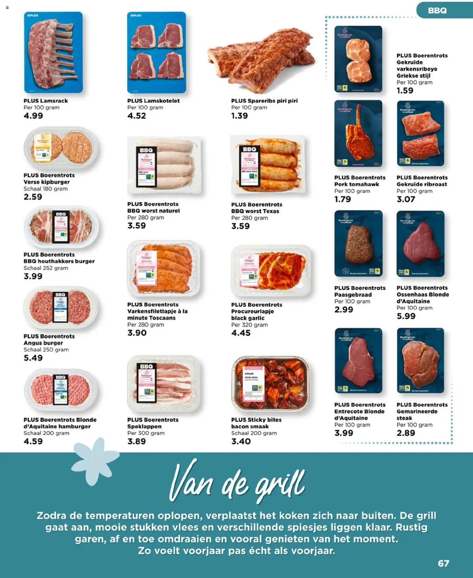 {H1} | Pagina: 67 | Producten: Kisperec, Steak, Hamburger, Hollandi mártás