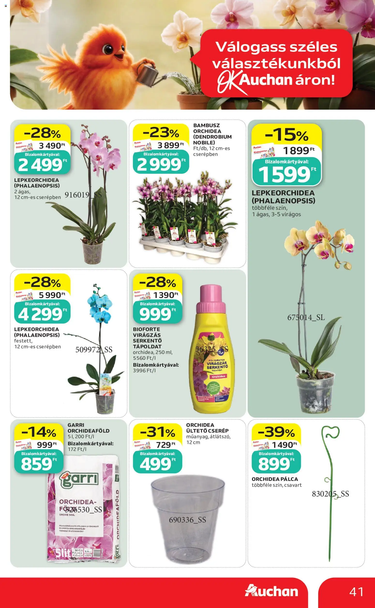 Auchan akciós ujság - amely érvényes a következő dátumtól: 2026.08.06. | Oldal: 41 | Termékek: Orchidea, Tápoldat