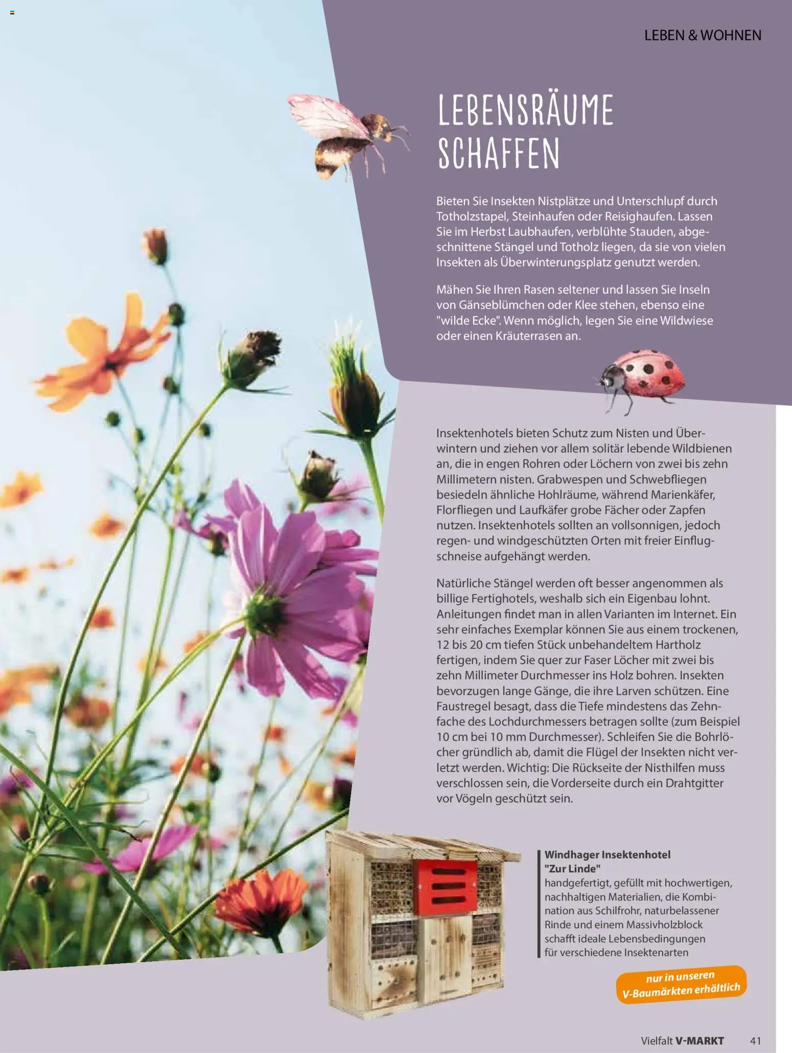V-Markt Vielfalt Mai / Juni – gültig ab 01.05.2026 | Seite: 41