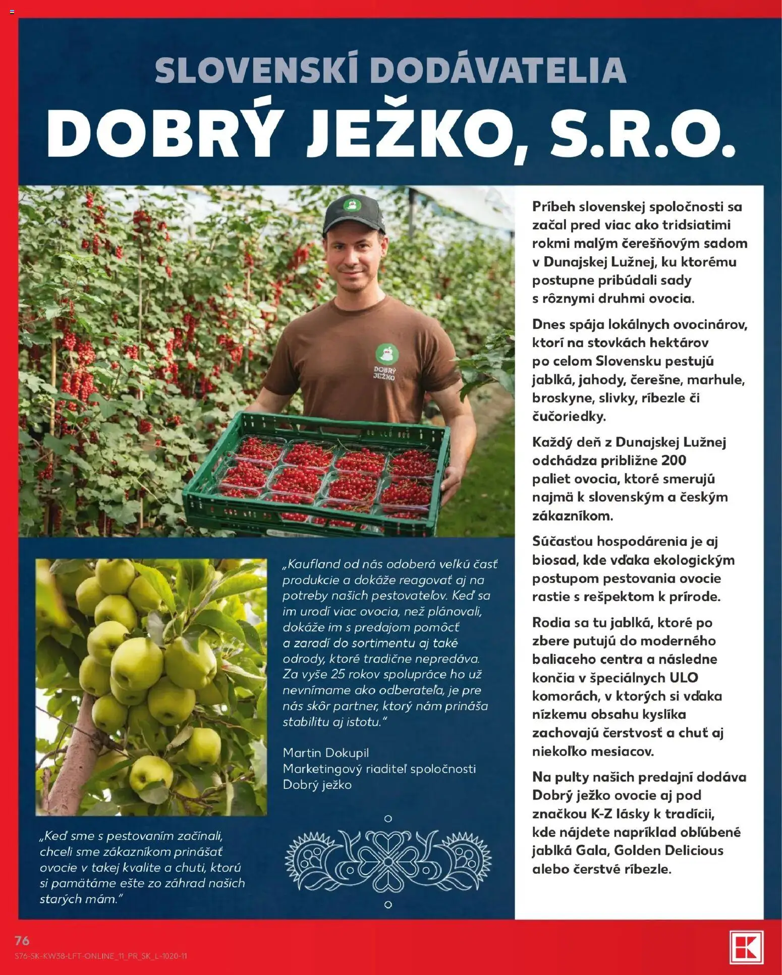 Nové Kaufland akcie – leták je platný od 17.09.2026 | Strana: 76 | Produkty: Ríbezle, Jablká, Ovocie