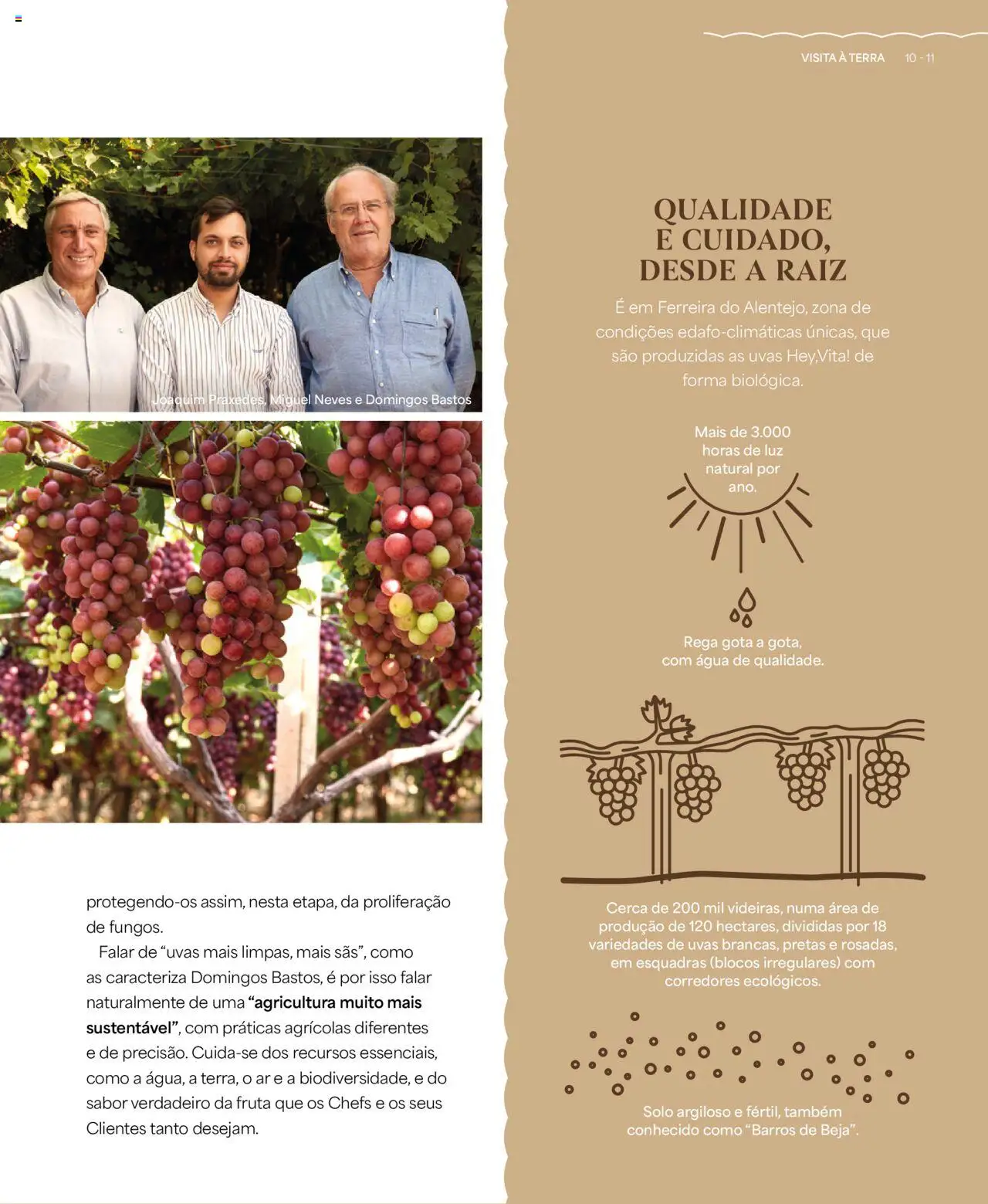 Recheio - Recheio da Terra │ válido de 25/09/2025 | Página: 11 | Produtos: Agua, Uvas