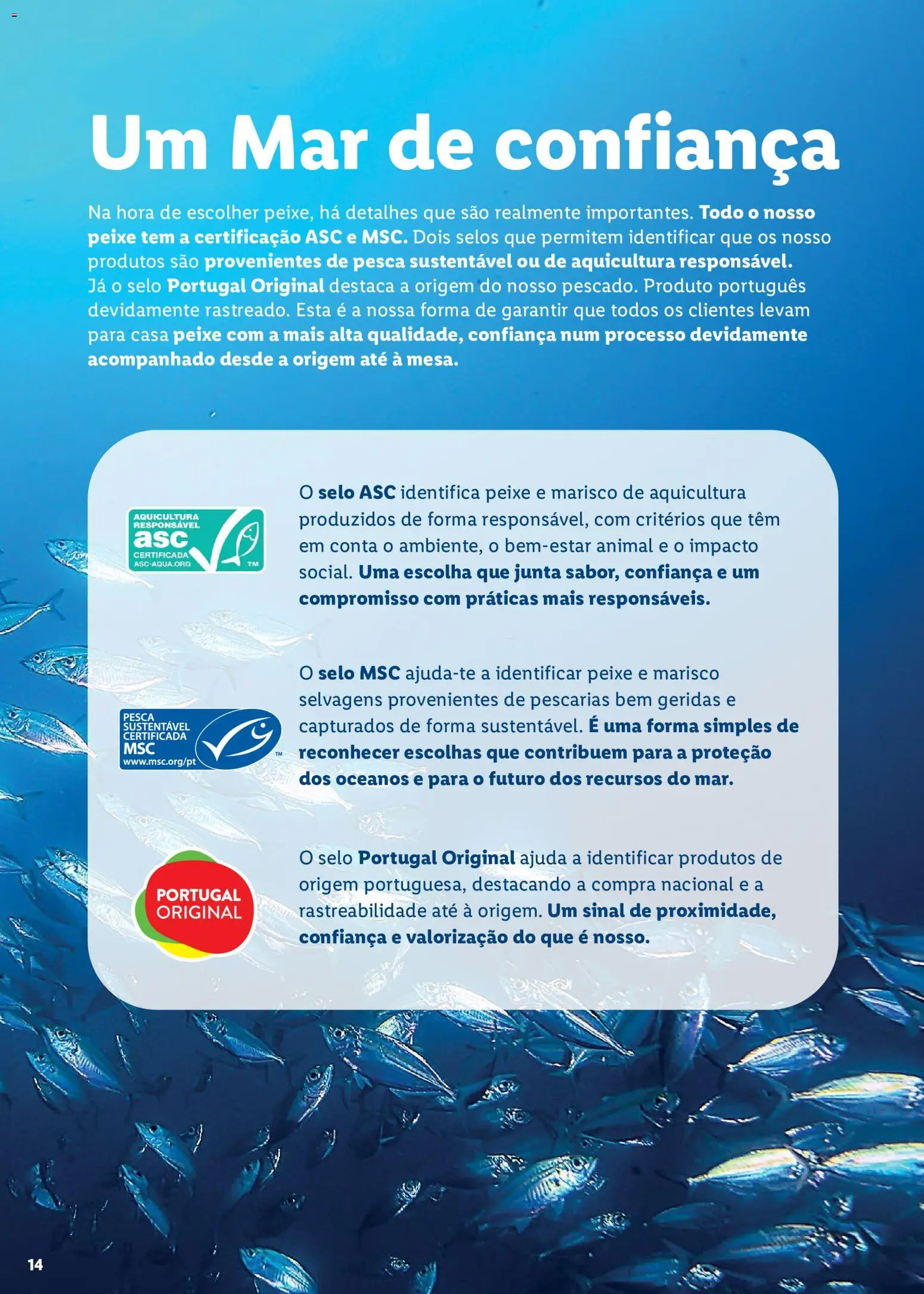 Lidl Feira do Mar │ válido de 07.05.2026 | Página: 14