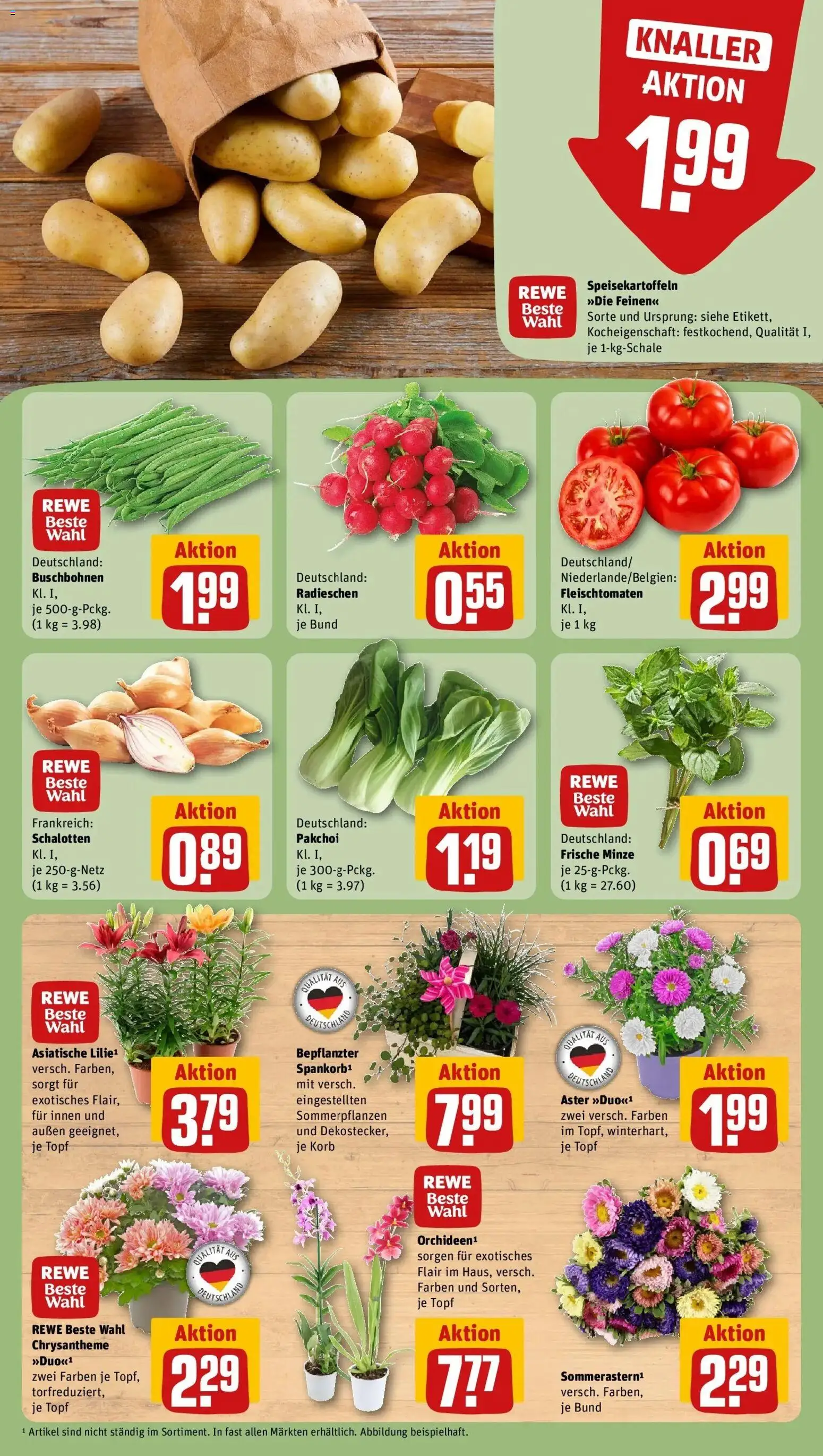 Rewe Prospekt Elmshorn – gültig ab 03.08.2026 | Seite: 7