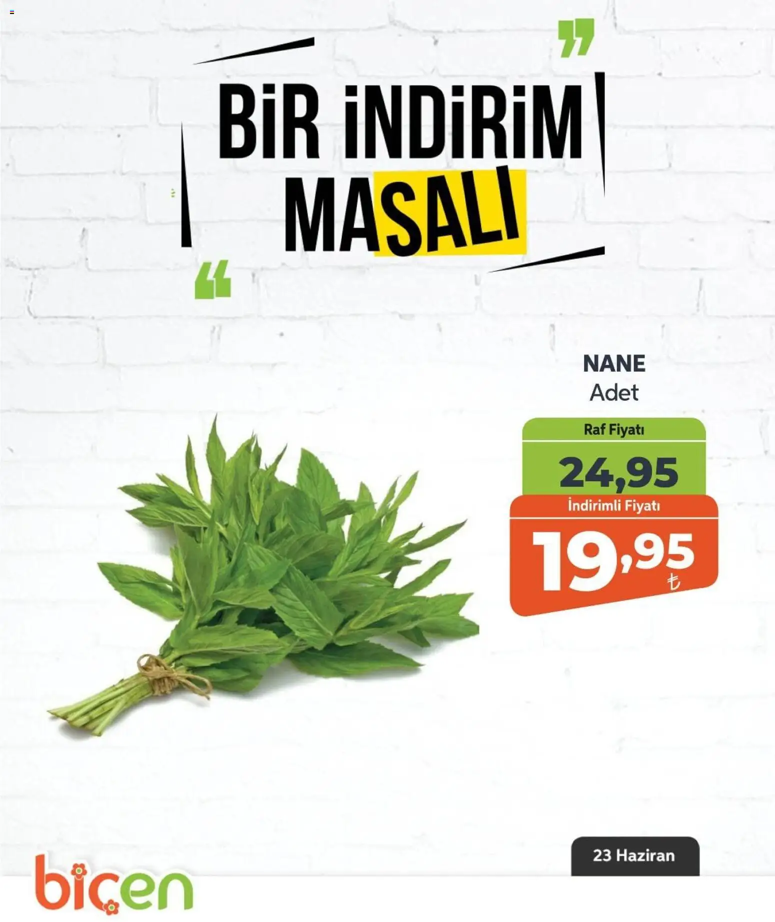 Biçen Market - Bir İndirim MaSalı - sebze - 23 Haziran 2026 tarihinden itibaren geçerlidir | Sayfa: 8 | Ürünler: Raf, Nane