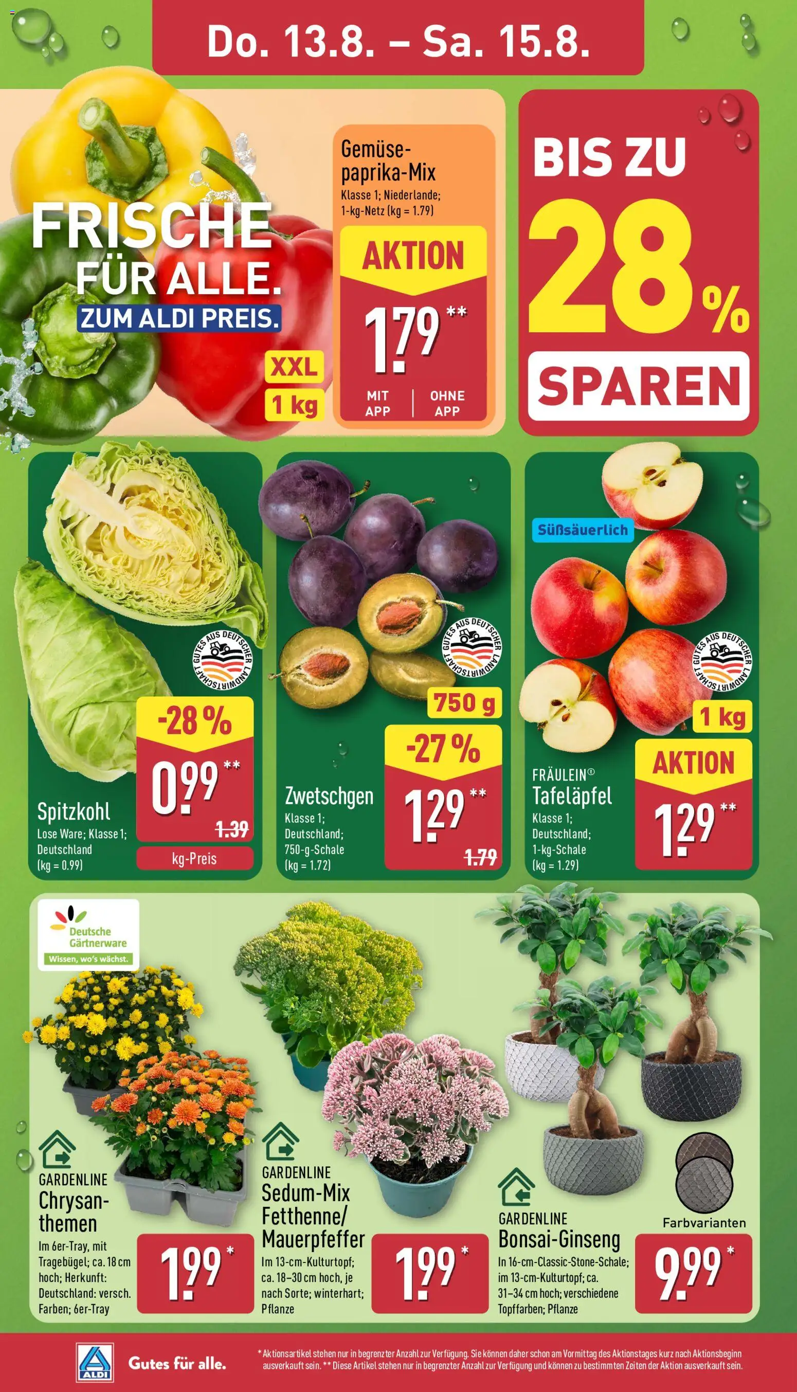 Aldi Prospekt – gültig ab 10.08.2026 | Seite: 28 | Produkte: Zwetschgen, Gemüse