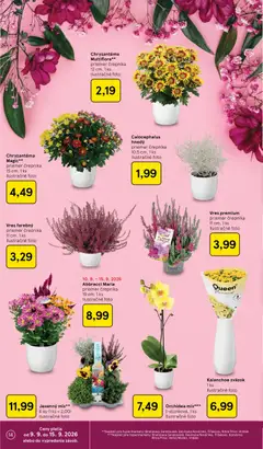 Tesco leták platný od 09.09.2026 | Strana: 14