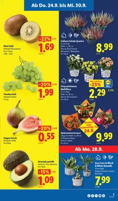 Avocado gereift, Herkunft: Peru, Brasilien, Pro Stück ab 24.09.2026 gültig | Seite: 5