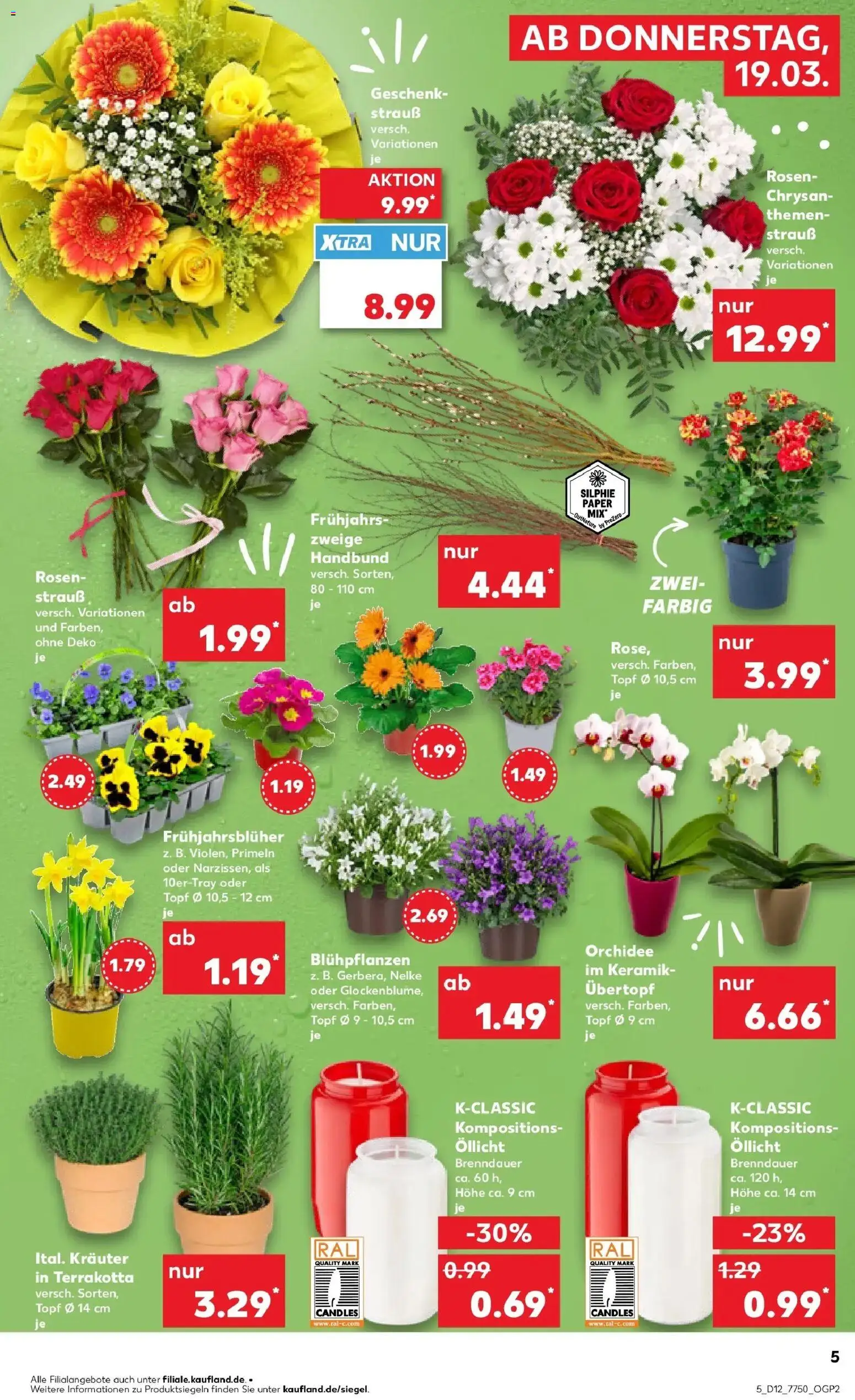 Kaufland Prospekt Alsdorf	 – gültig ab 19.03.2026 | Seite: 5 | Produkte: Orchidee