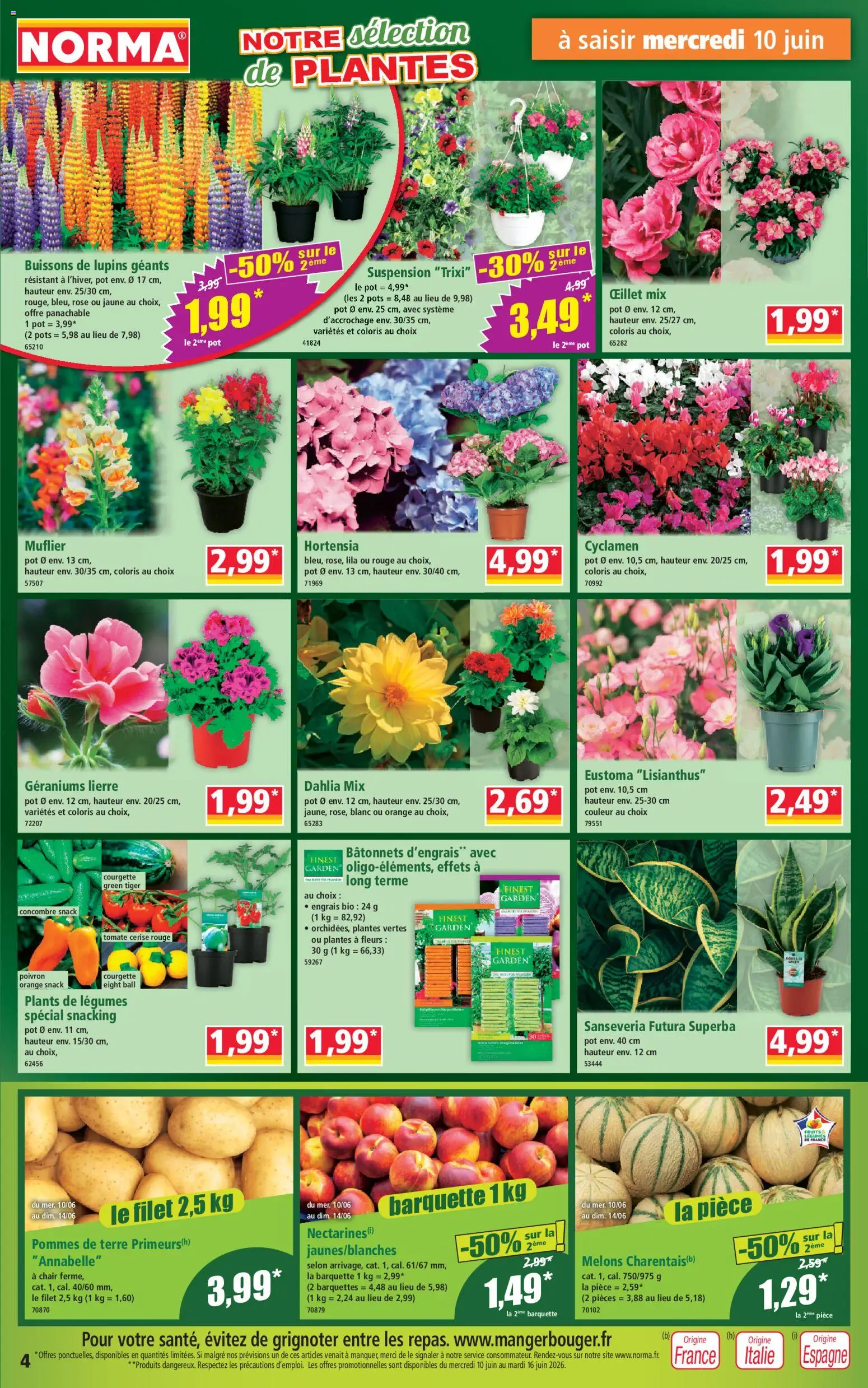 {H1} | Page: 4 | Produits: Hortensia, Orange, Plantes, Pommes