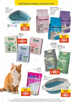 AlphaZoo akciós újság - amely érvényes a következő dátumtól: 15.06.2026 | Oldal: 10 | Termékek: Macskaalom, Tofu, WC, Tea