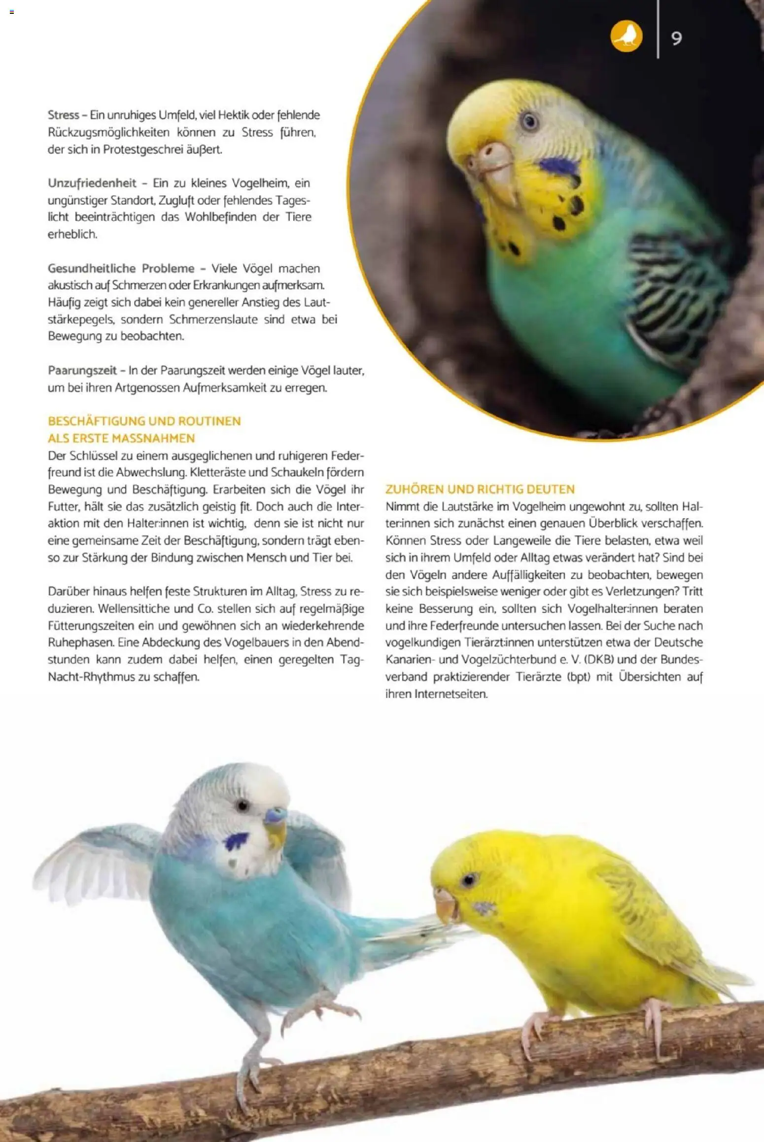 zookauf Heimtier Journal – gültig ab 01.10.2026 | Seite: 9