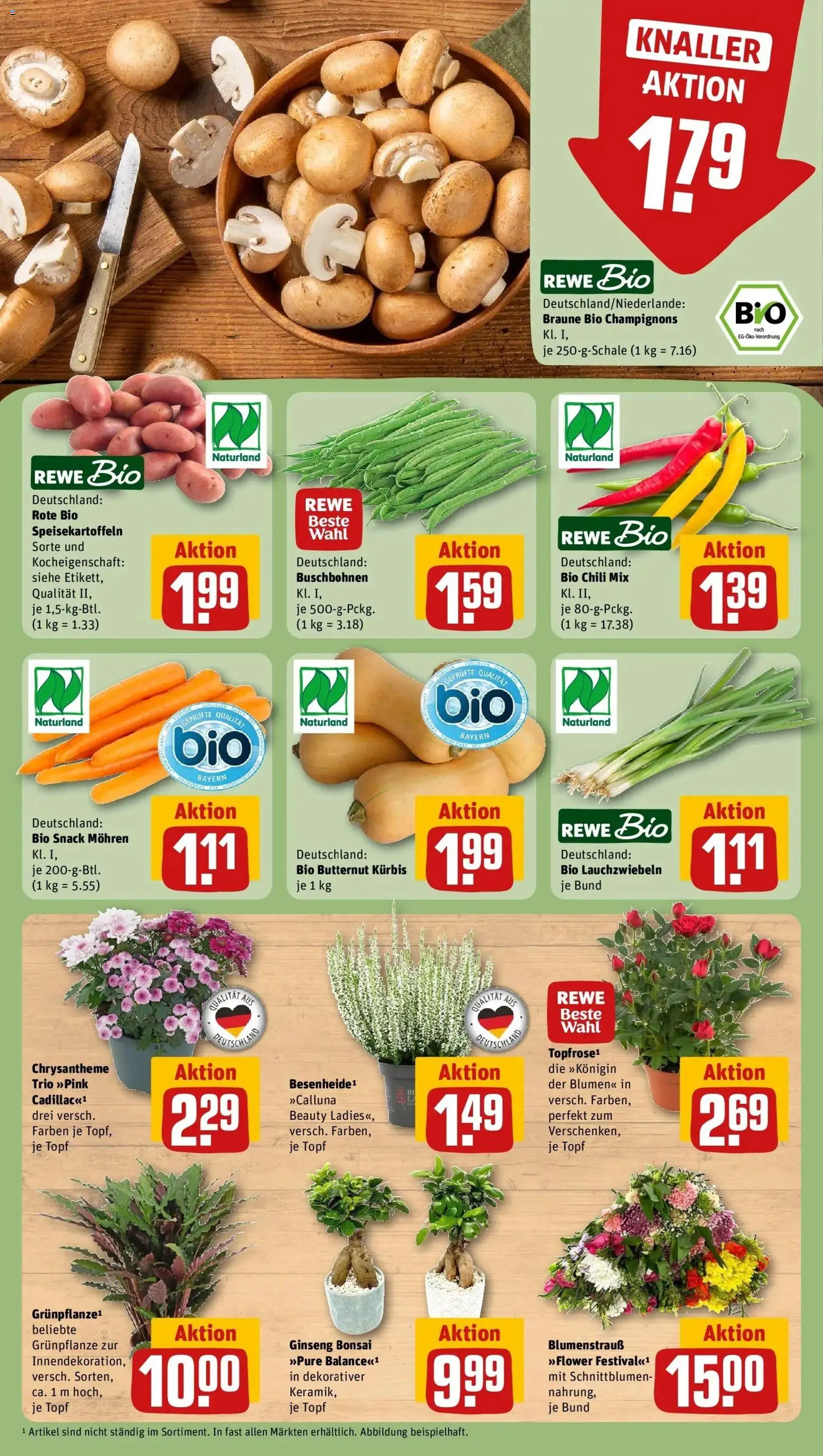 REWE Prospekt ab 31.08.2026 zum Blättern » Angebote | Seite: 7 | Produkte: Mohren, Champignons, Chili, Kürbis