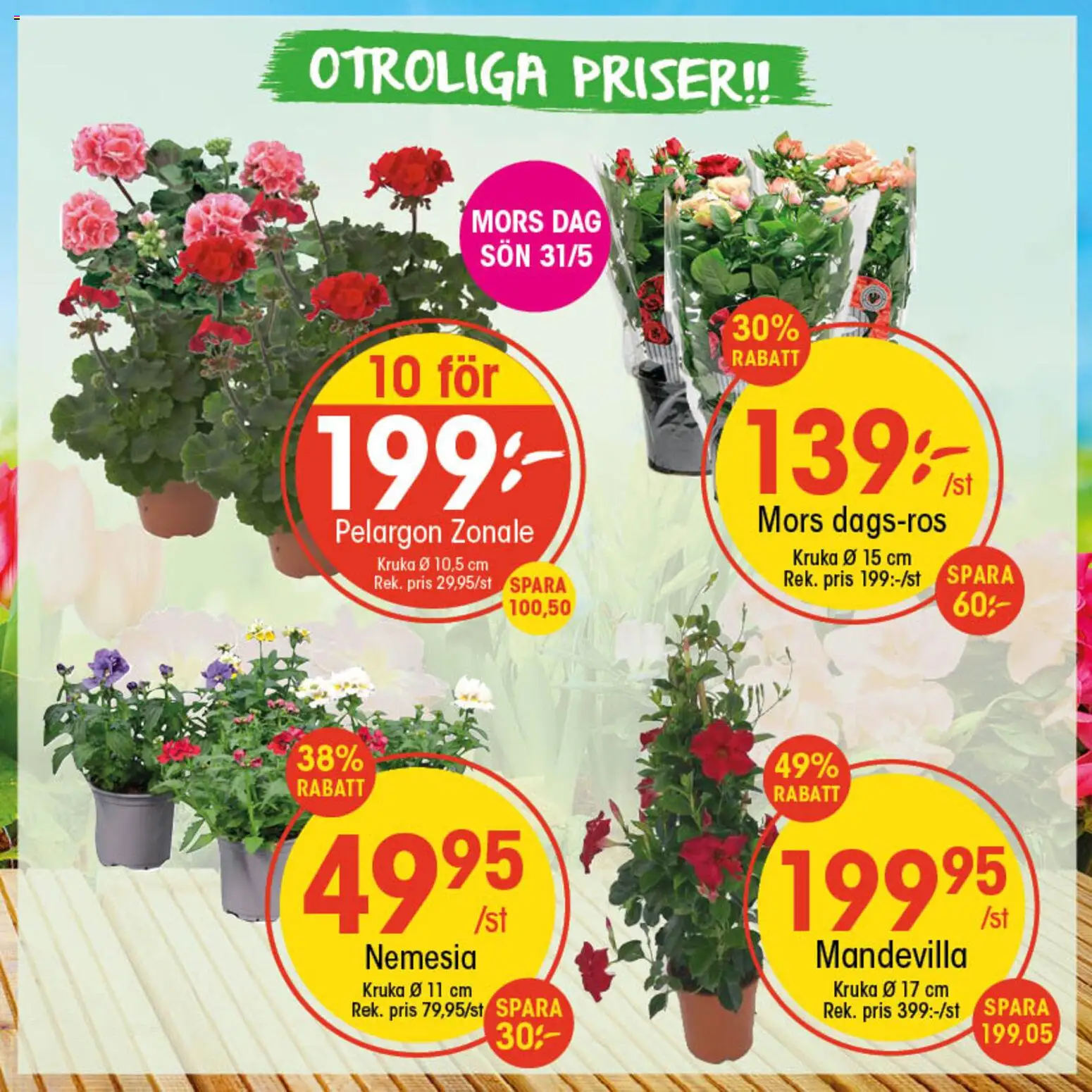EKO reklamblad aktuell från 25.05.2026 | Sida: 1 | Produkter: Pelargon, Kruka