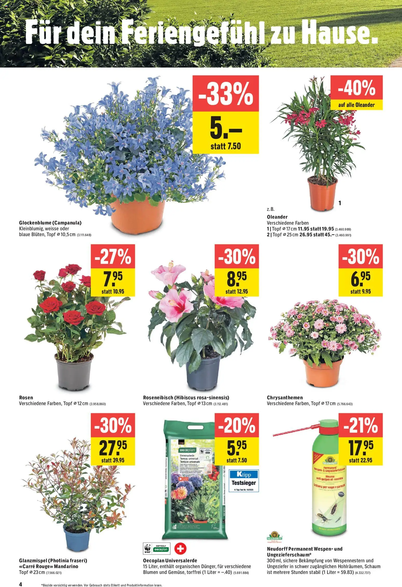 Jumbo aktionen – gültig ab 13.08.2026 | Seite: 4 | Produkte: Rouge