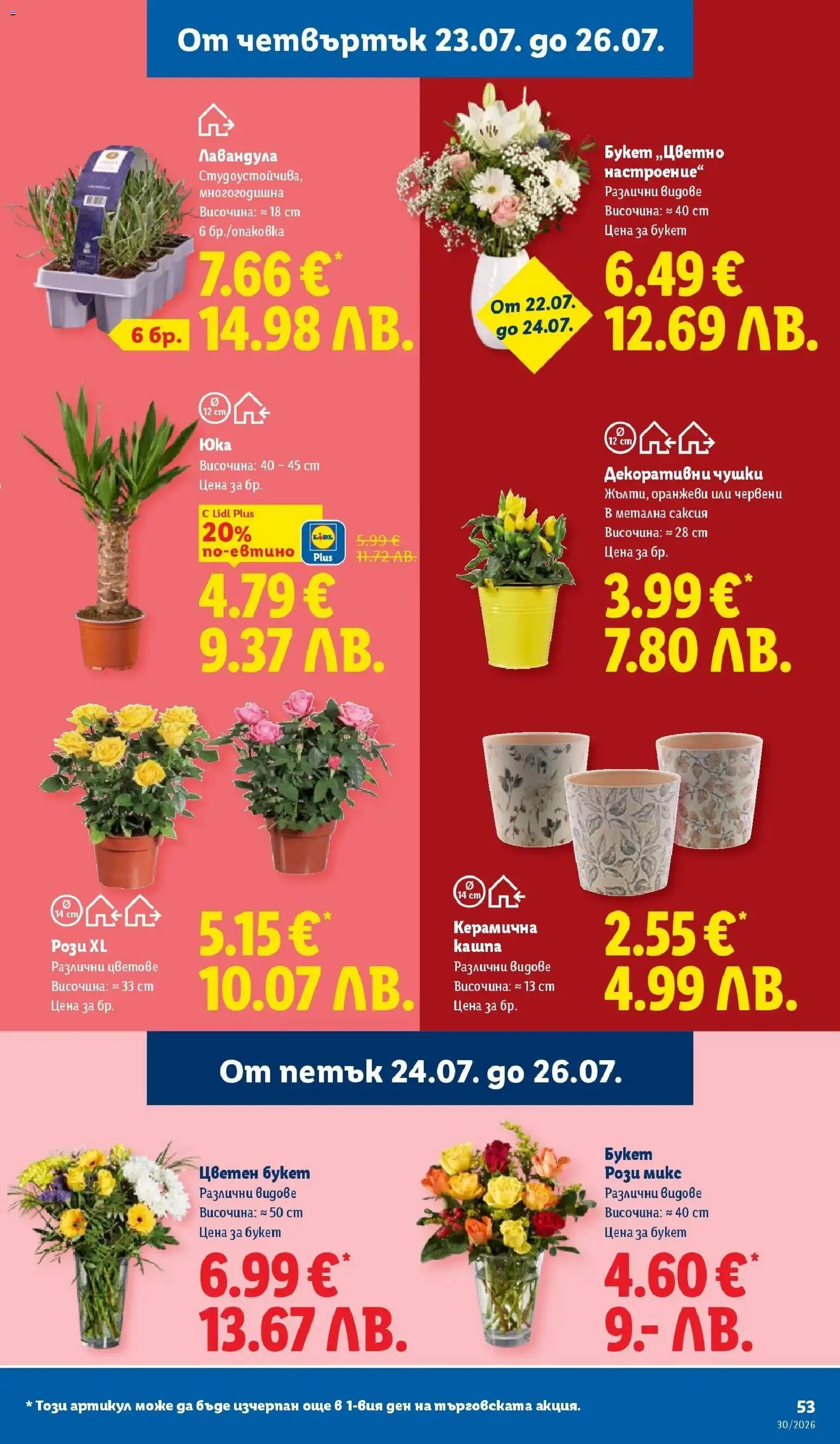 {H1} | Страница: 53 | Продукти: Саксия