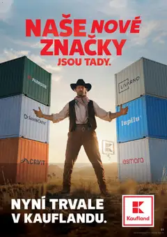 Náhled letáku PARKSIDE, Container with Parkside logo od 10.06.2026 | Strana: 51
