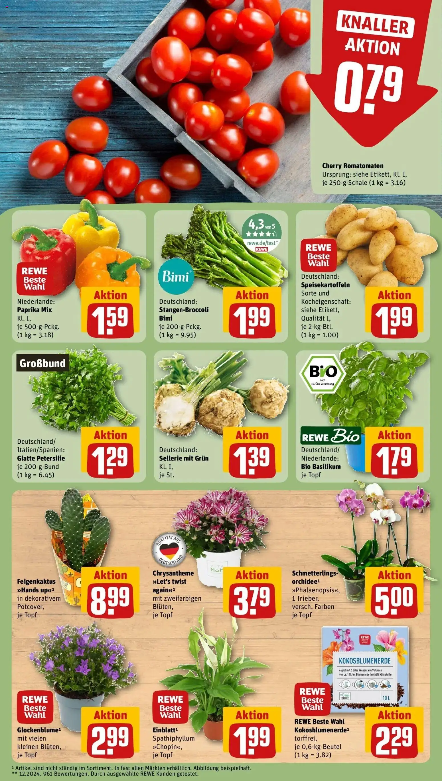 REWE Prospekt ab 10.08.2026 zum Blättern » Angebote | Seite: 5 | Produkte: Blumenerde, Wasser, Paprika, Petersilie