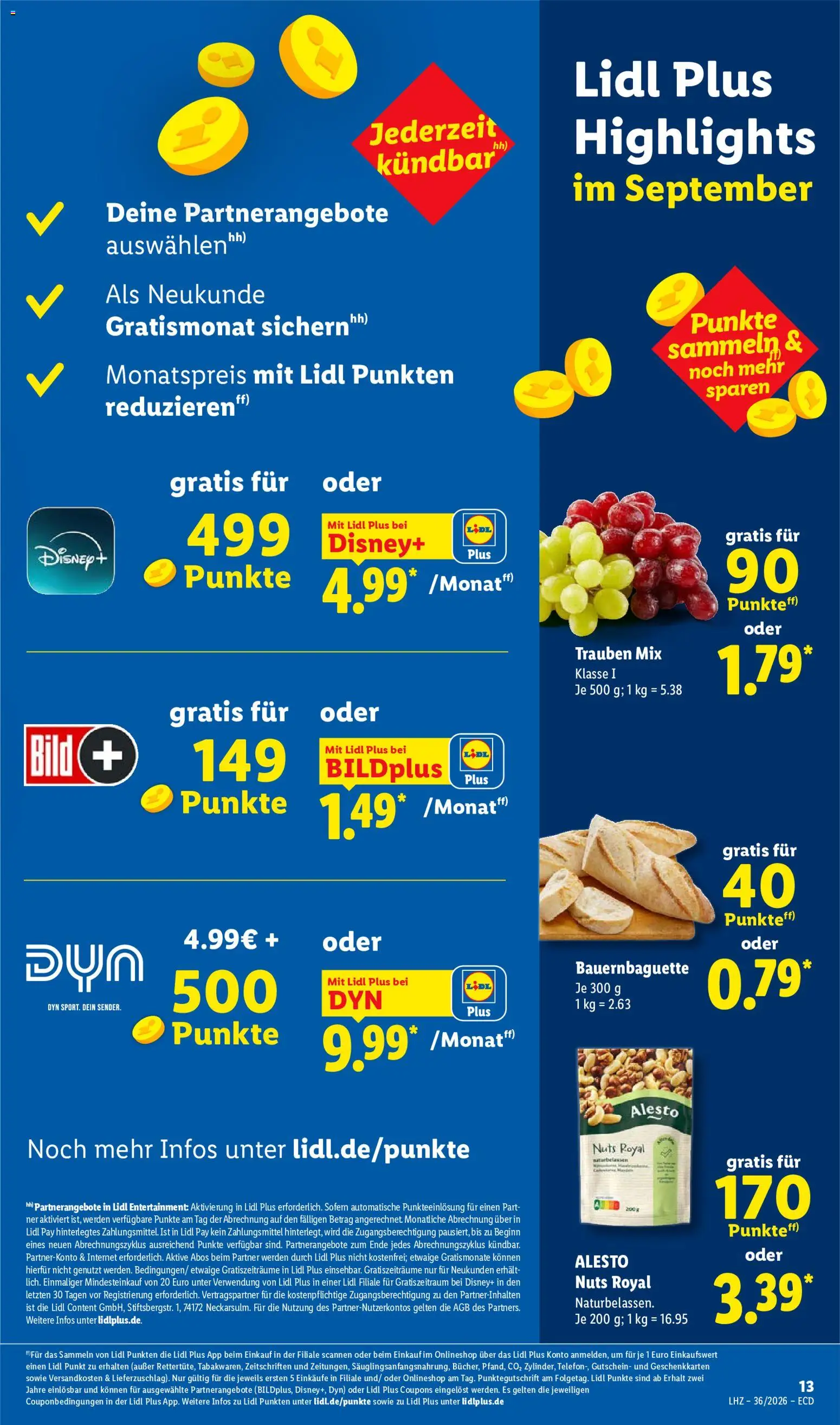 Lidl Německo leták od 31.08.2026 | Strana: 29