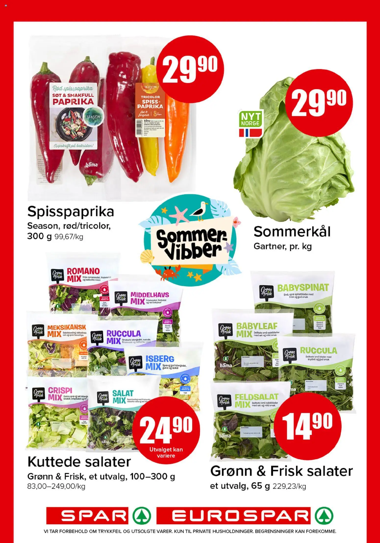 {H1} | Side: 4 | Produkter: Essuie-tout, Salat, Paprika, Ruccula